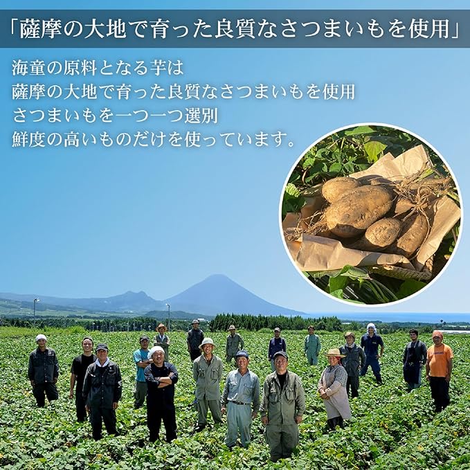 【本格芋焼酎】海童 祝の赤