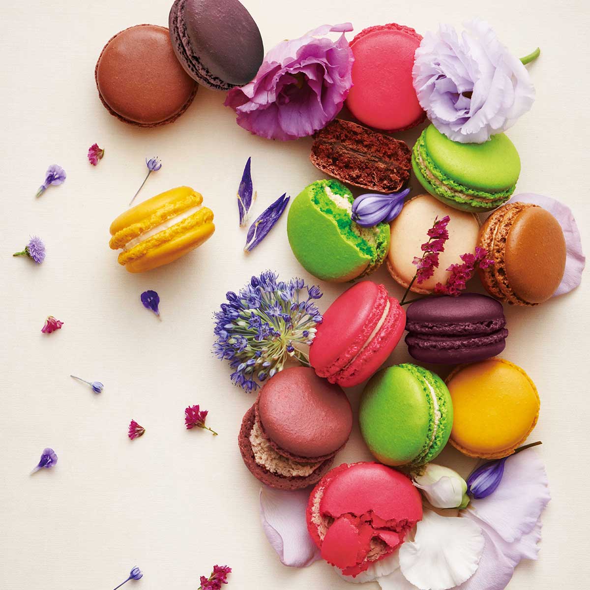 【DALLOYAU】ダロワイヨ 季節のマカロン入り詰め合わせ（12個入）