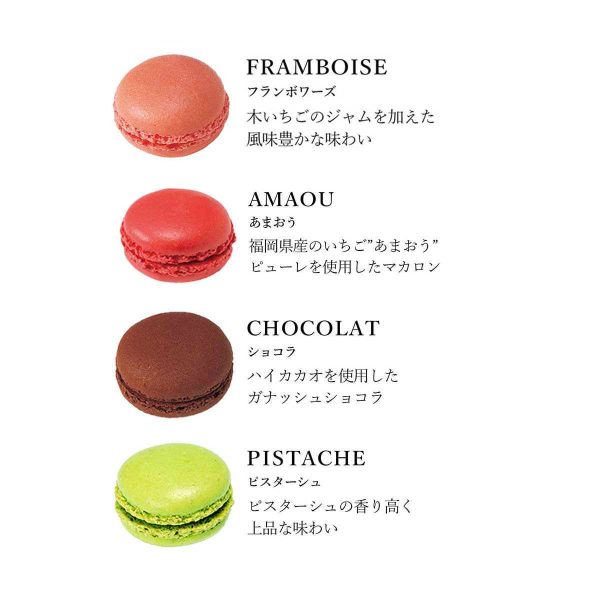 【DALLOYAU】ダロワイヨ 季節のマカロン入り詰め合わせ（12個入）