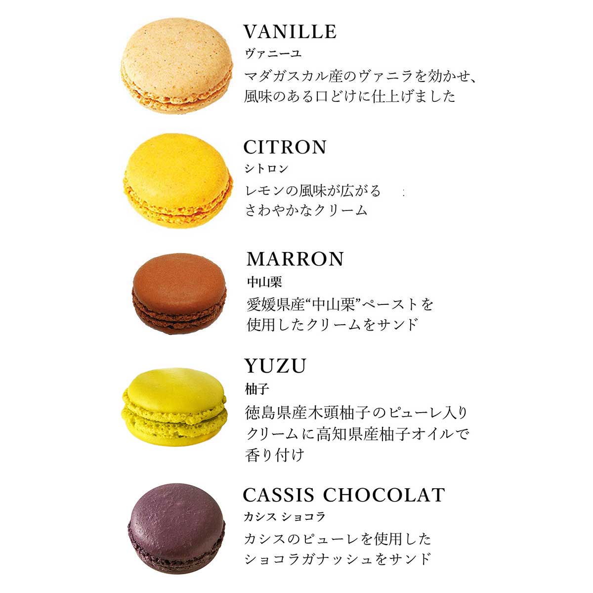 【DALLOYAU】ダロワイヨ 季節のマカロン入り詰め合わせ（12個入）