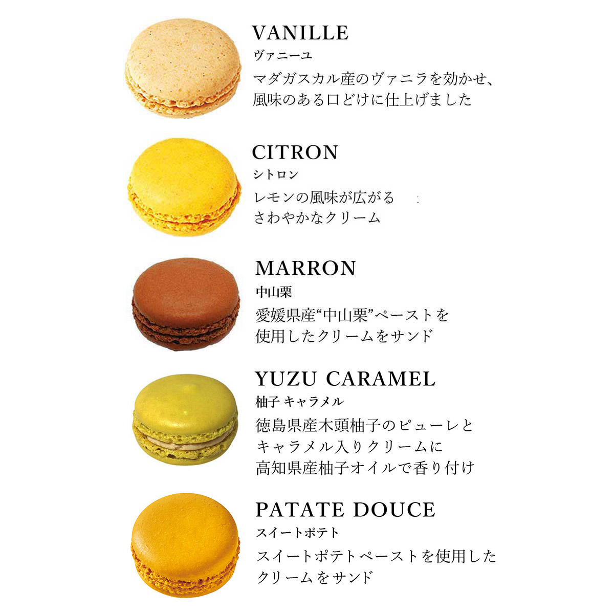 【DALLOYAU】ダロワイヨ 季節のマカロン入り詰め合わせ（12個入）