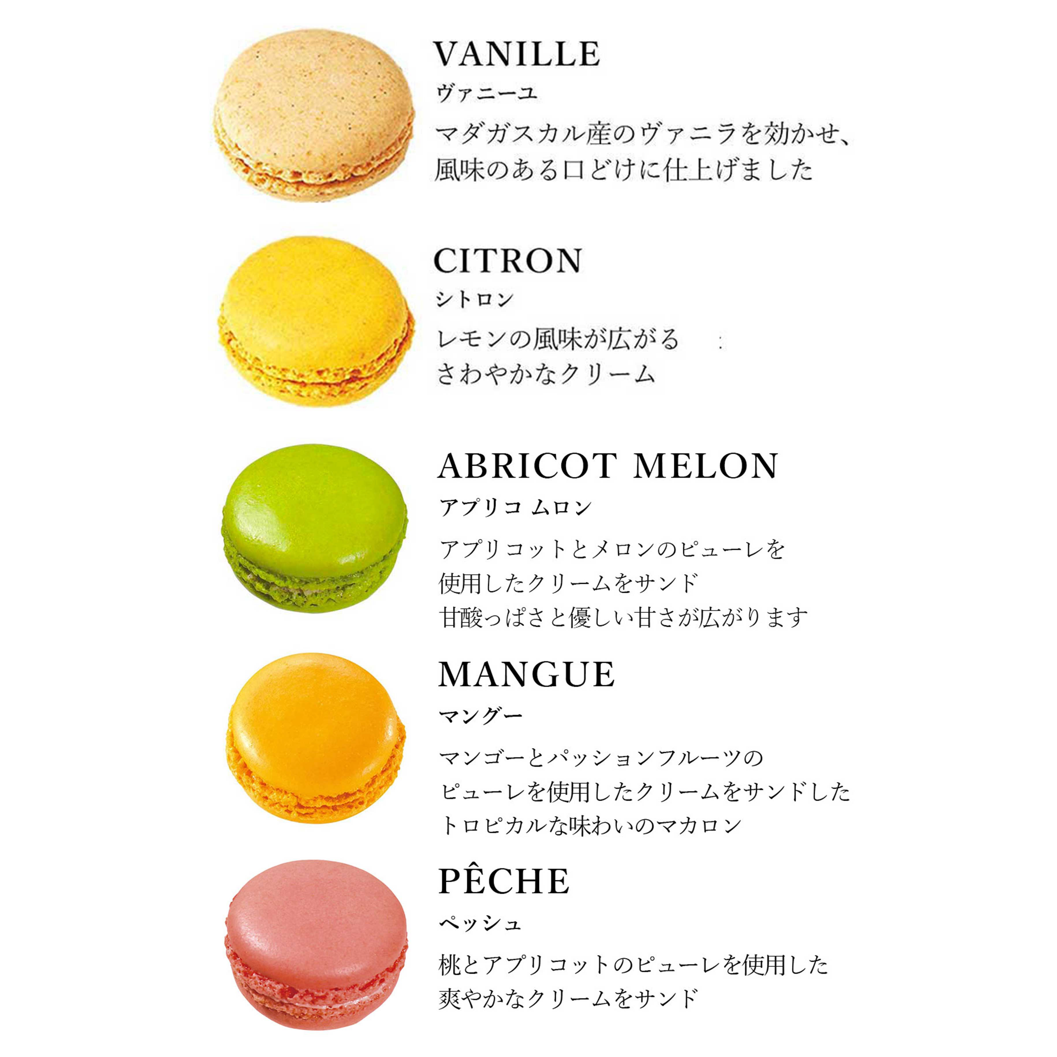 【DALLOYAU】ダロワイヨ 季節のマカロン入り詰め合わせ（12個入）