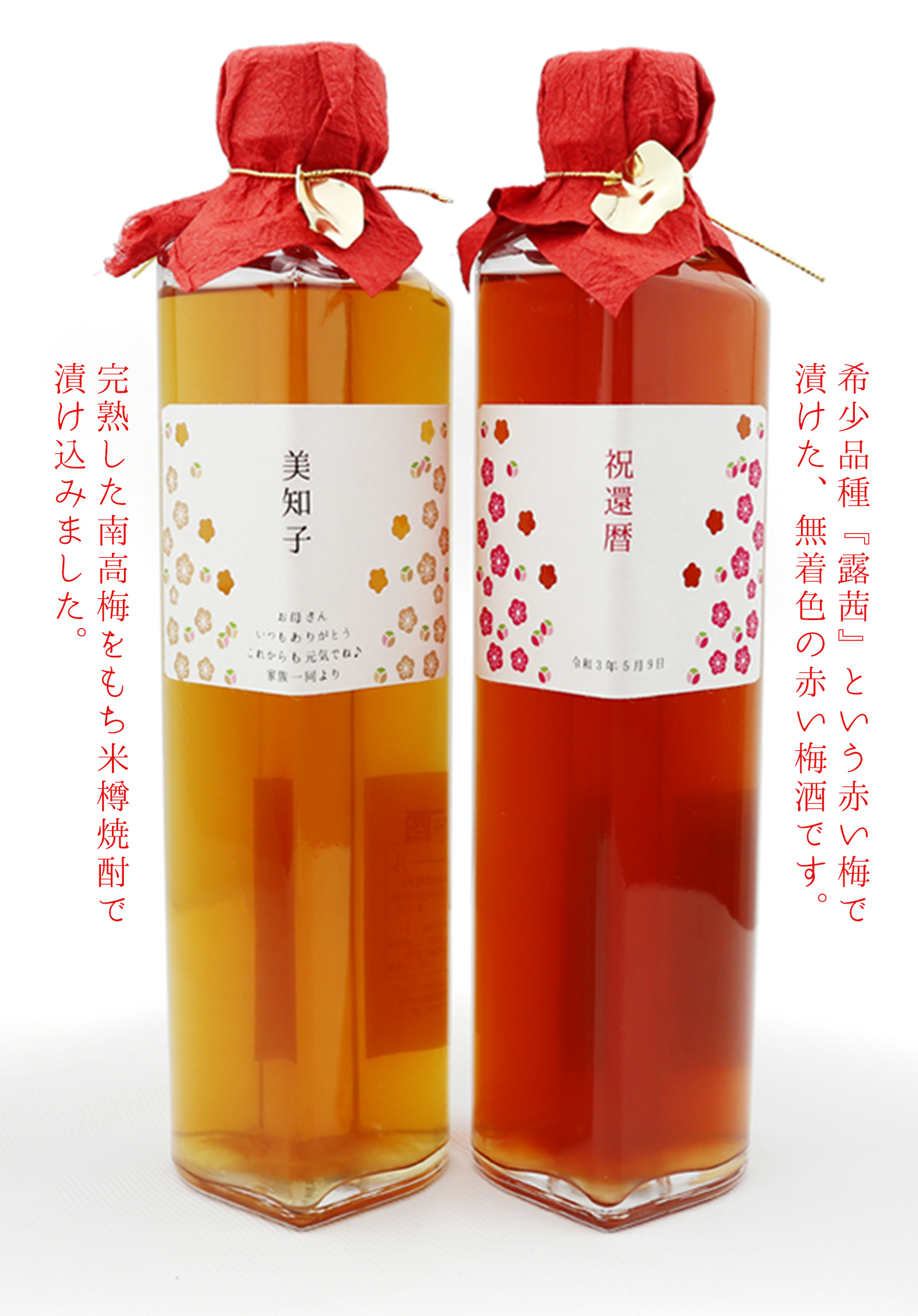 名入れラベル 梅酒の飲み比べセット