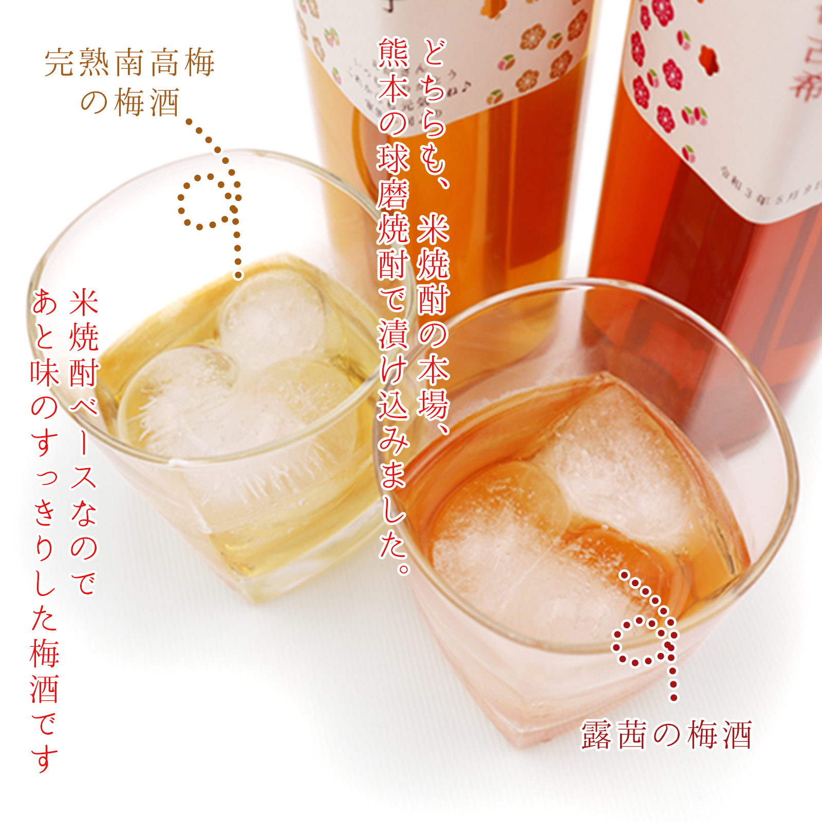 名入れラベル 梅酒の飲み比べセット