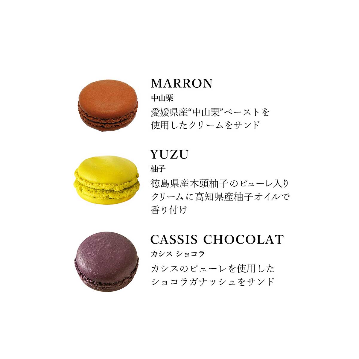 【DALLOYAU】ダロワイヨ 季節のマカロン入り詰め合わせ（15個入）