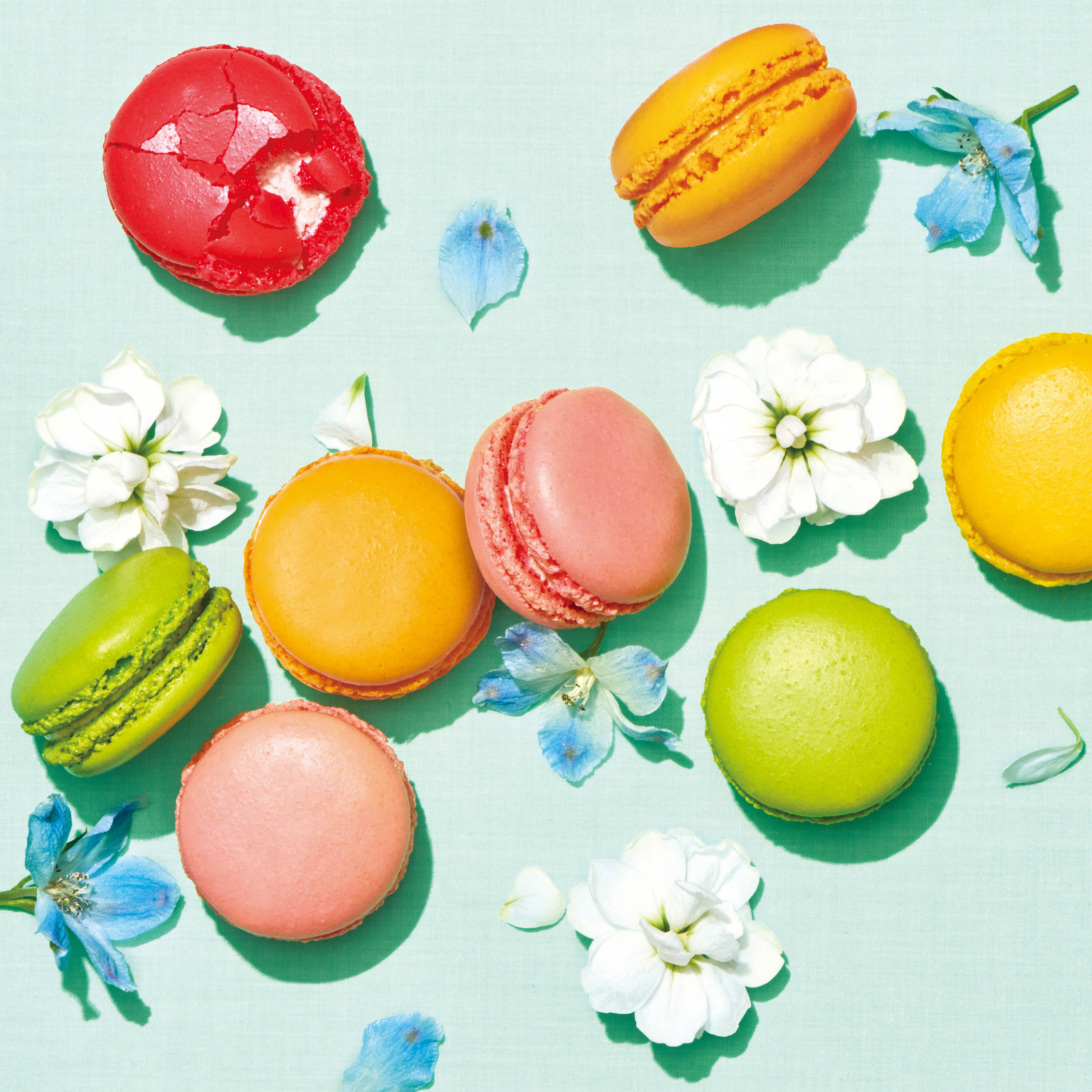 【DALLOYAU】ダロワイヨ 季節のマカロン入り詰め合わせ（15個入）