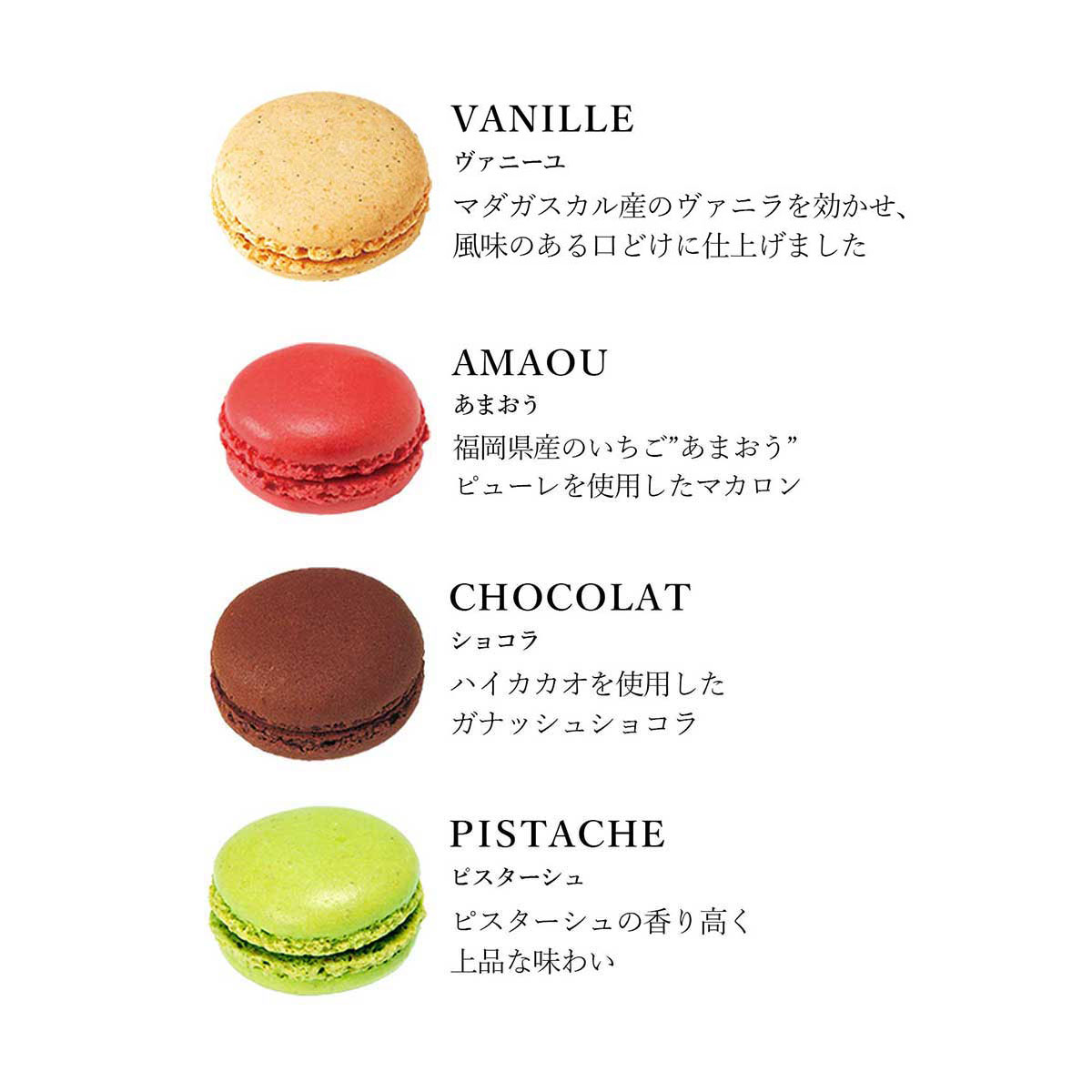 【DALLOYAU】ダロワイヨ 季節のマカロン入り詰め合わせ（15個入）