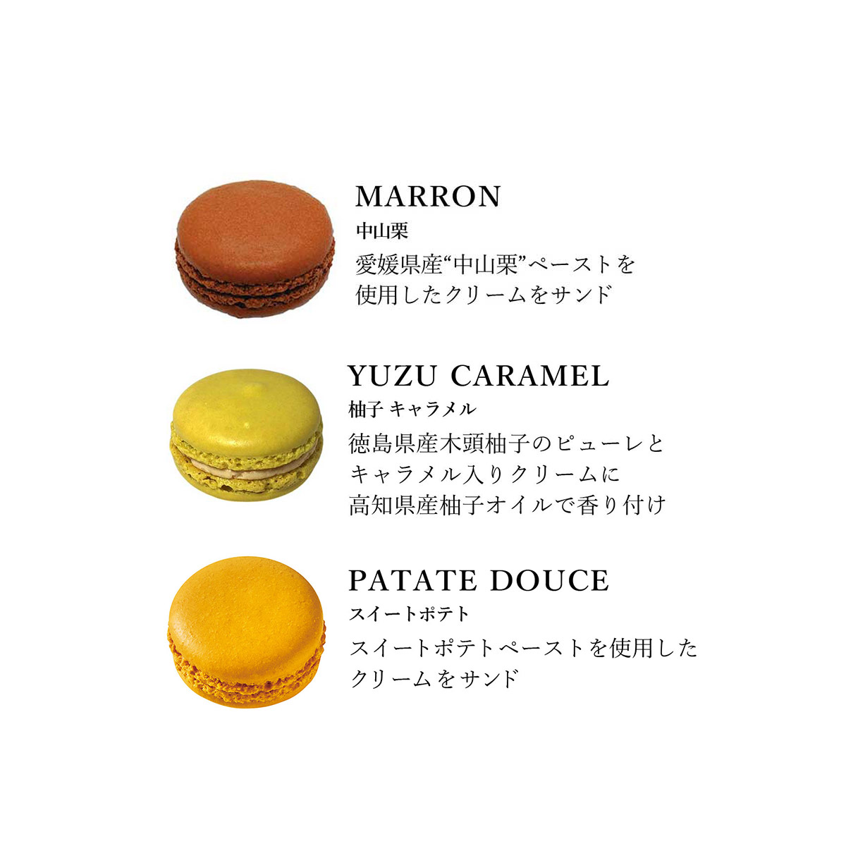 【DALLOYAU】ダロワイヨ 季節のマカロン入り詰め合わせ（15個入）