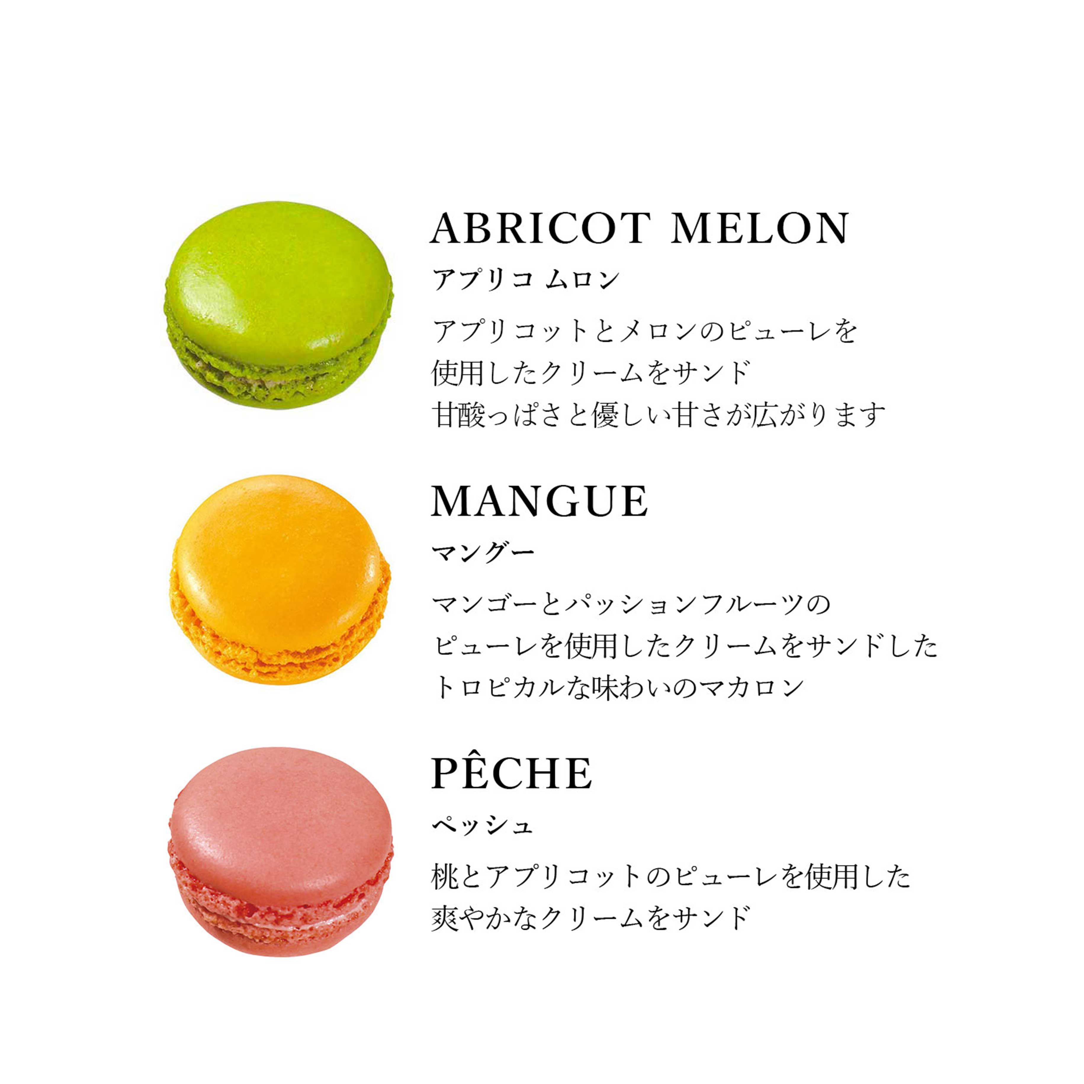 【DALLOYAU】ダロワイヨ 季節のマカロン入り詰め合わせ（15個入）