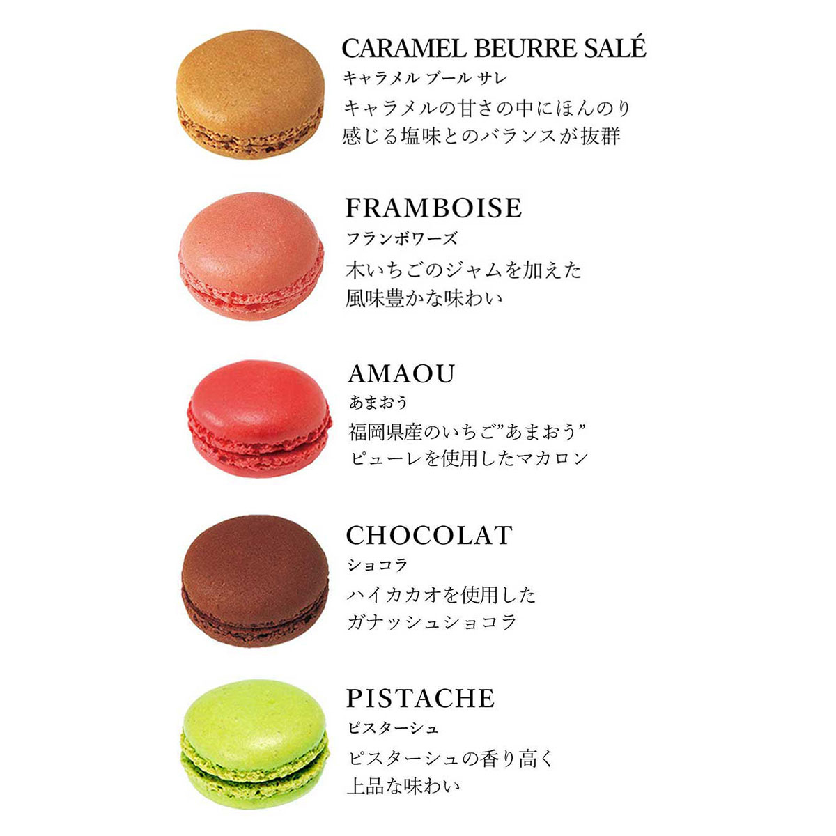 【DALLOYAU】ダロワイヨ 季節のマカロン入り詰め合わせ（20個入）