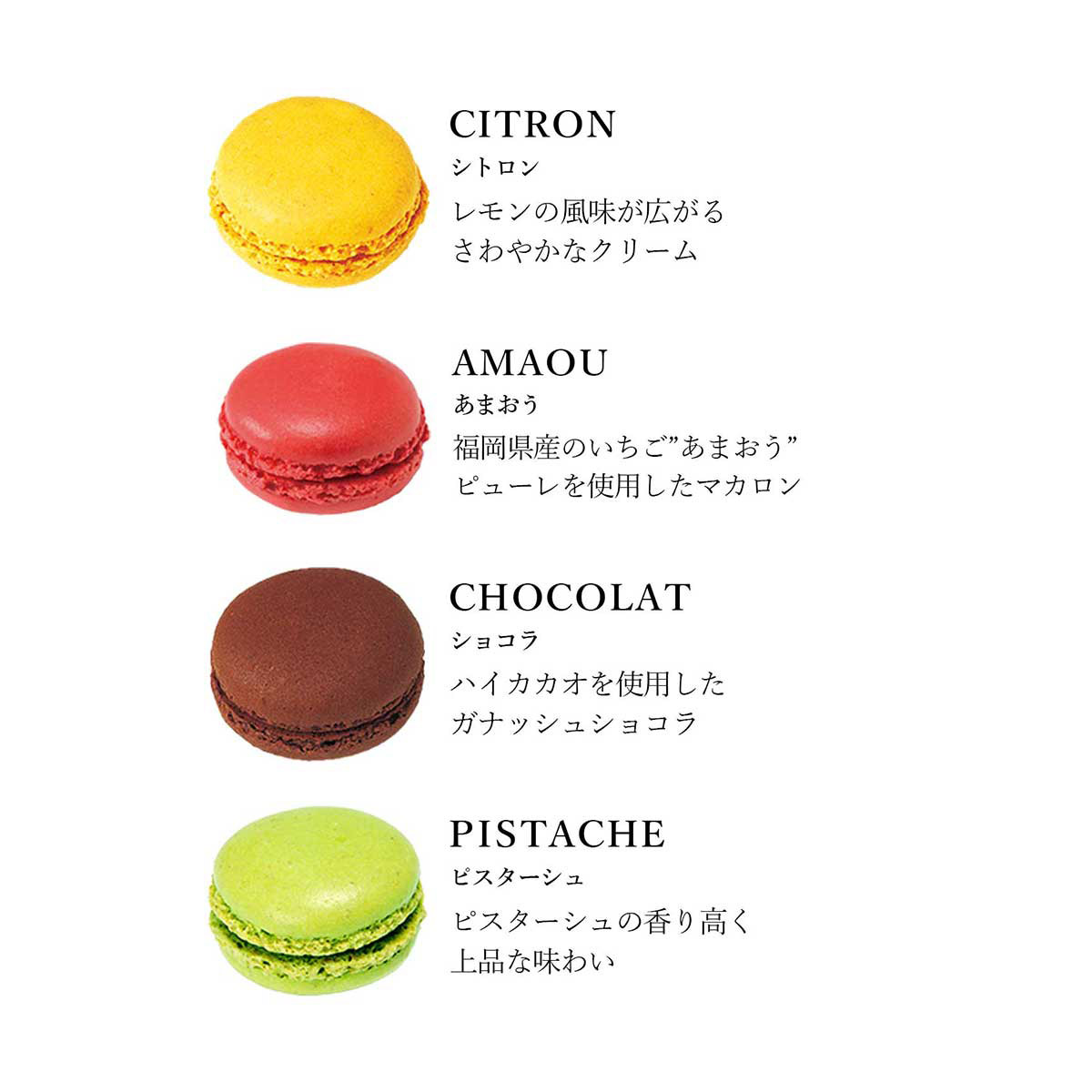 DALLOYAU】ダロワイヨ 季節のマカロン入り詰め合わせ(24個入 DALLOYAU】ダロワイヨ 季節のマカロン入り詰め合わせ(24個入