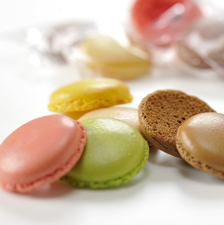 【DALLOYAU】ダロワイヨ マカロンラスク（30枚入）