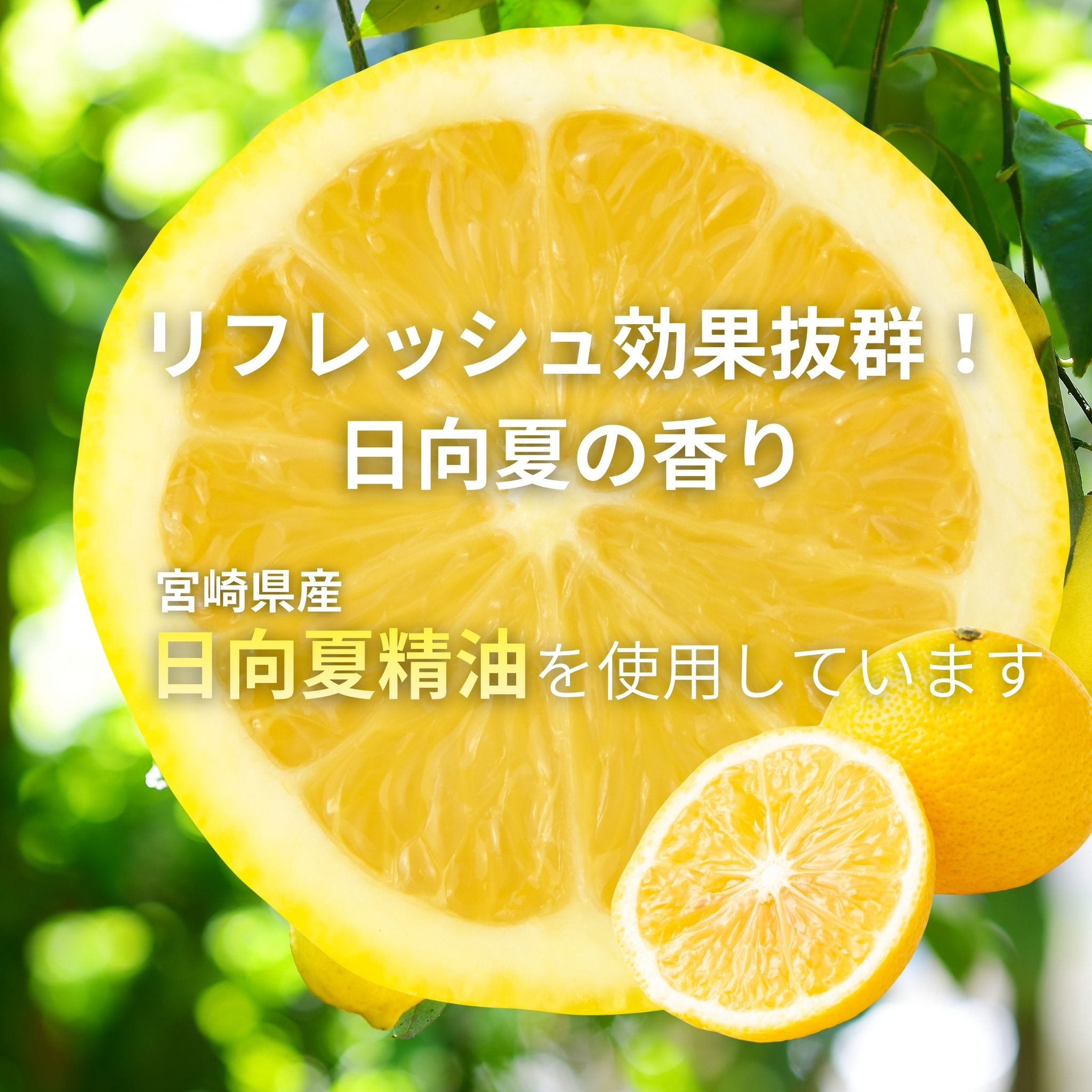 フェイスマスク　選べる5枚セット