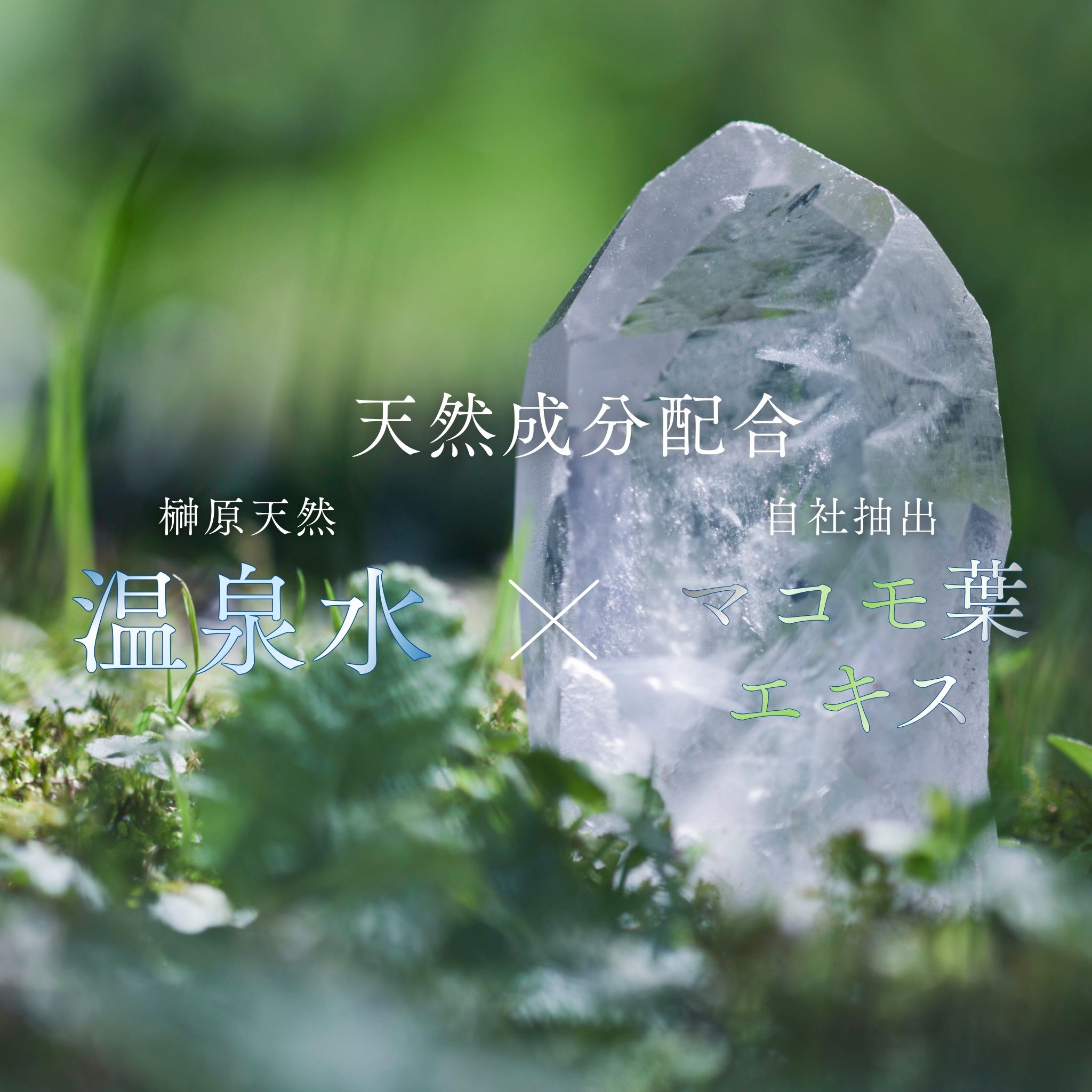 フェイスマスク　選べる5枚セット