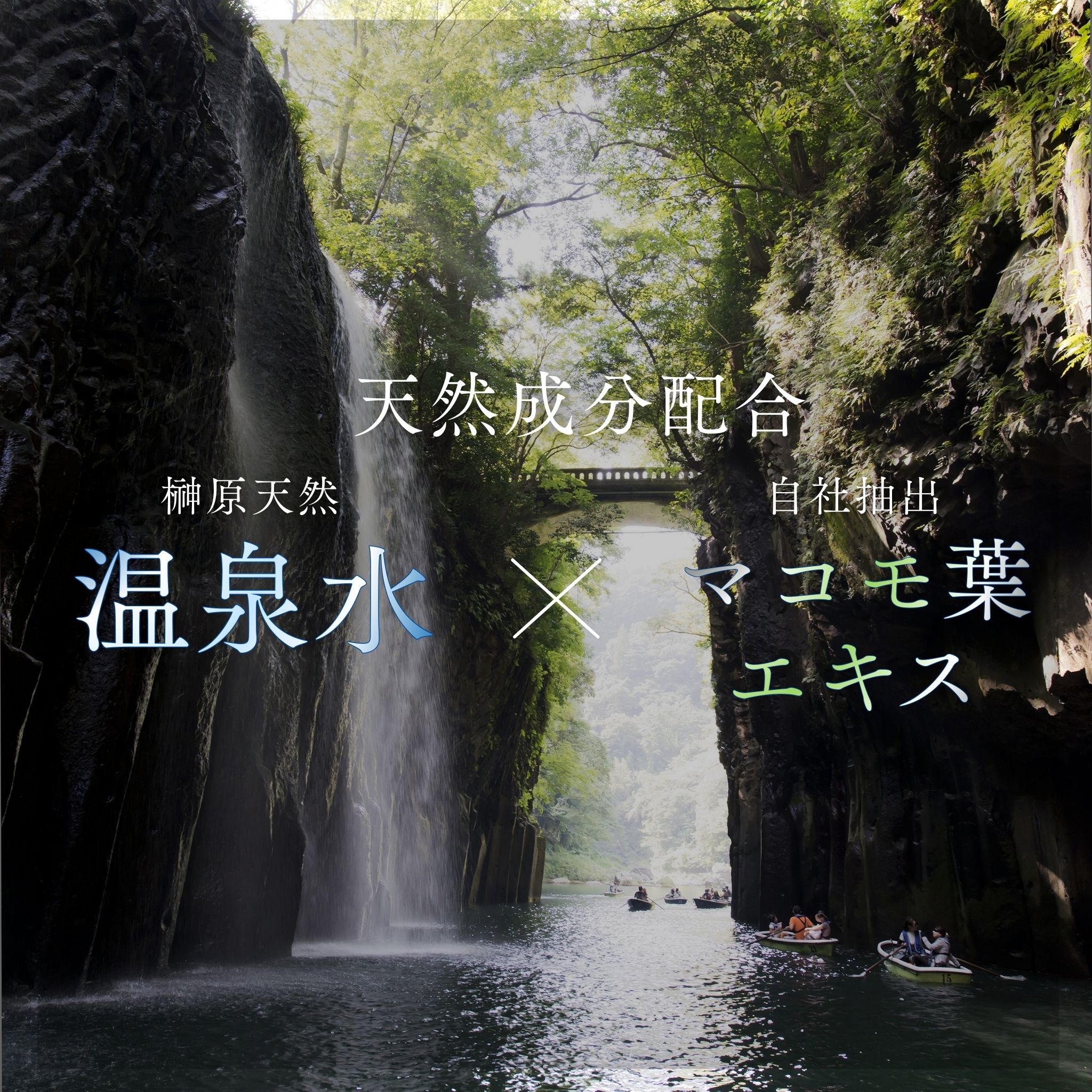 フェイスマスク　選べる5枚セット