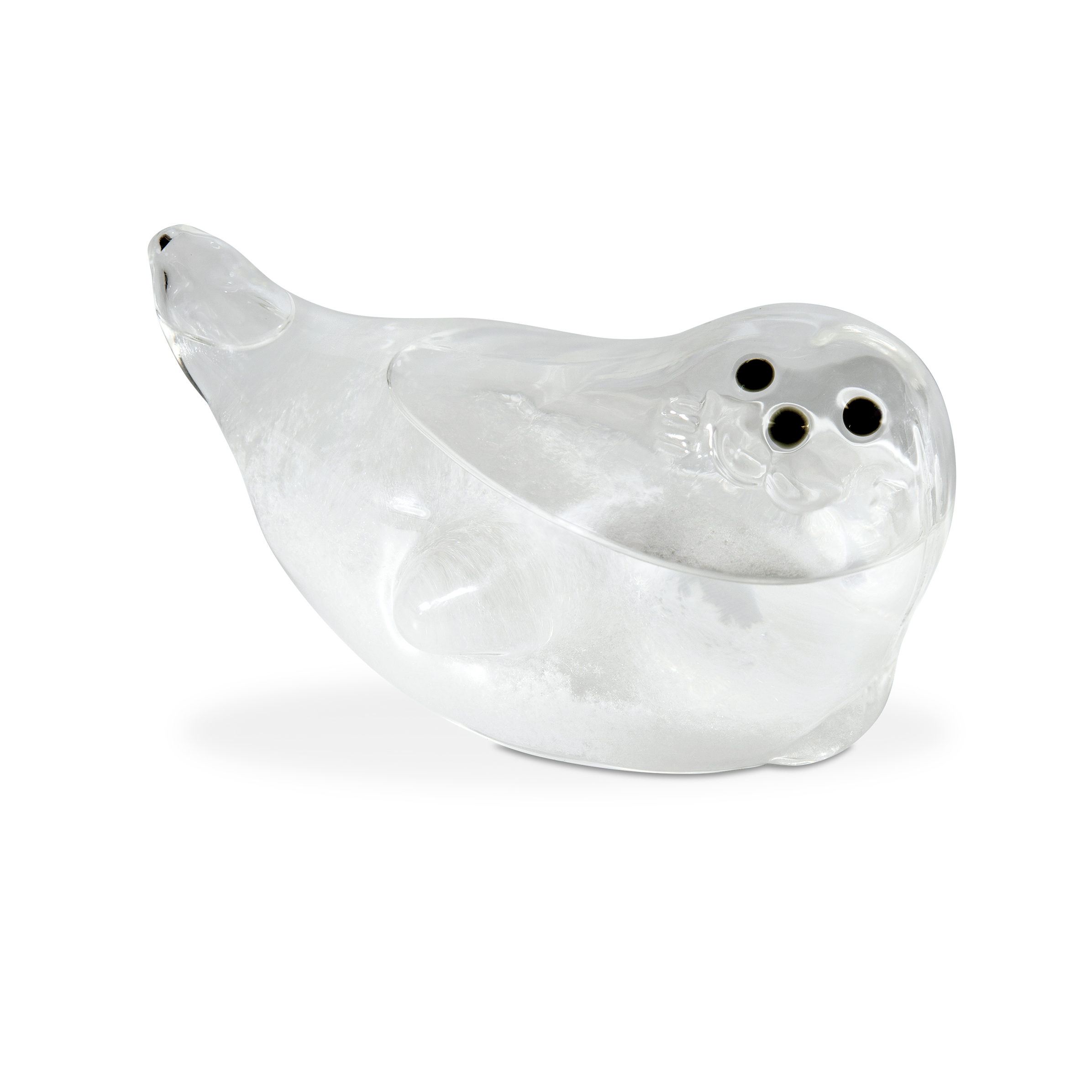 Storm Glass あざらしのストームグラス