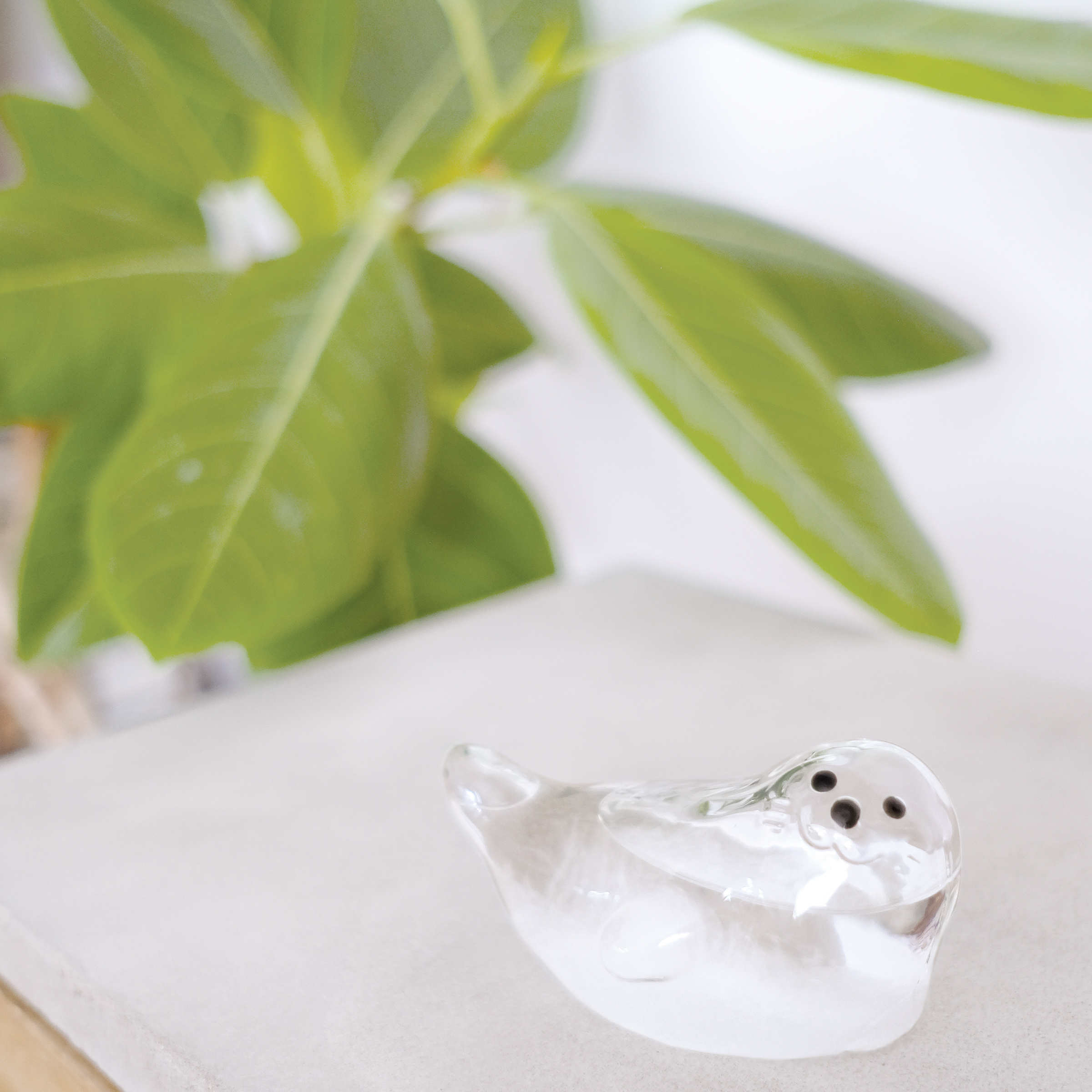 Storm Glass あざらしのストームグラス