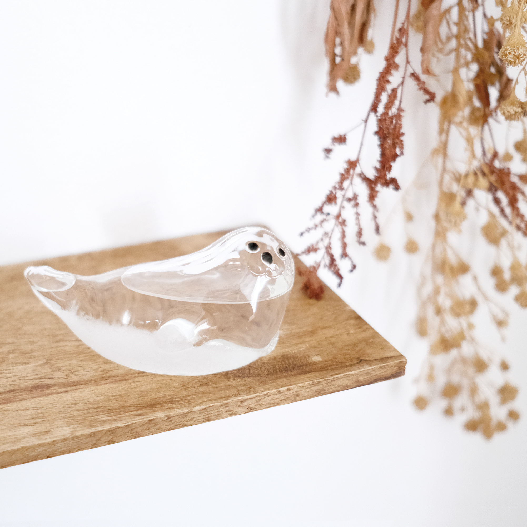 Storm Glass あざらしのストームグラス