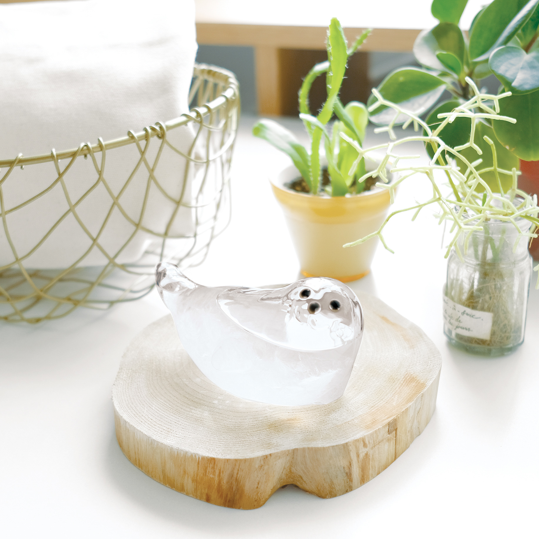 Storm Glass あざらしのストームグラス