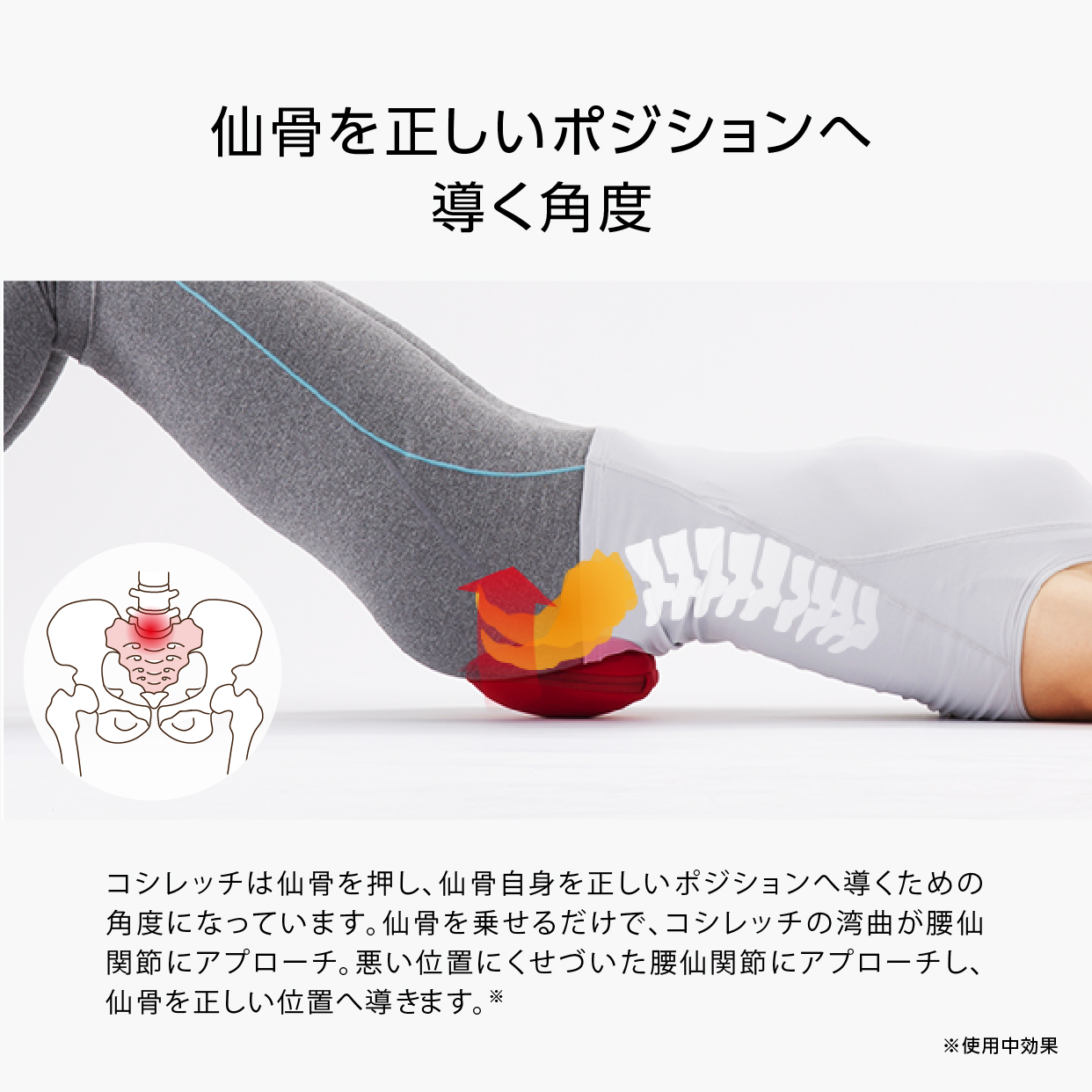 【足腰や骨盤周りが気になる方に】コシレッチ