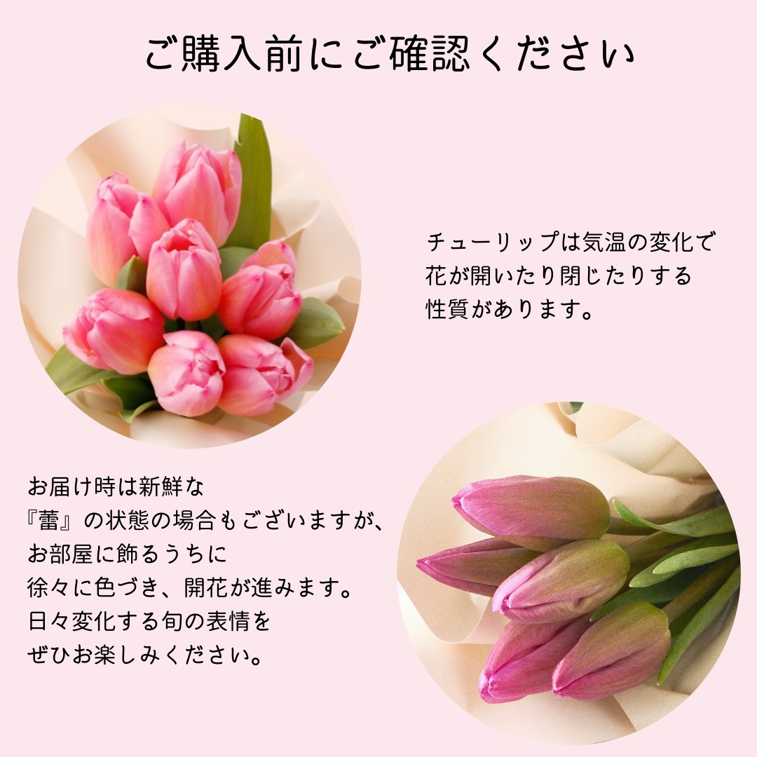 選べるスイーツとそのまま飾れるブーケ「陽だまりのチューリップ」（季節限定）