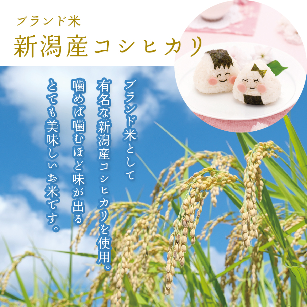 結婚式 【こしひかり300gプチギフト】※ご注文は1デザインにつき8個以上から