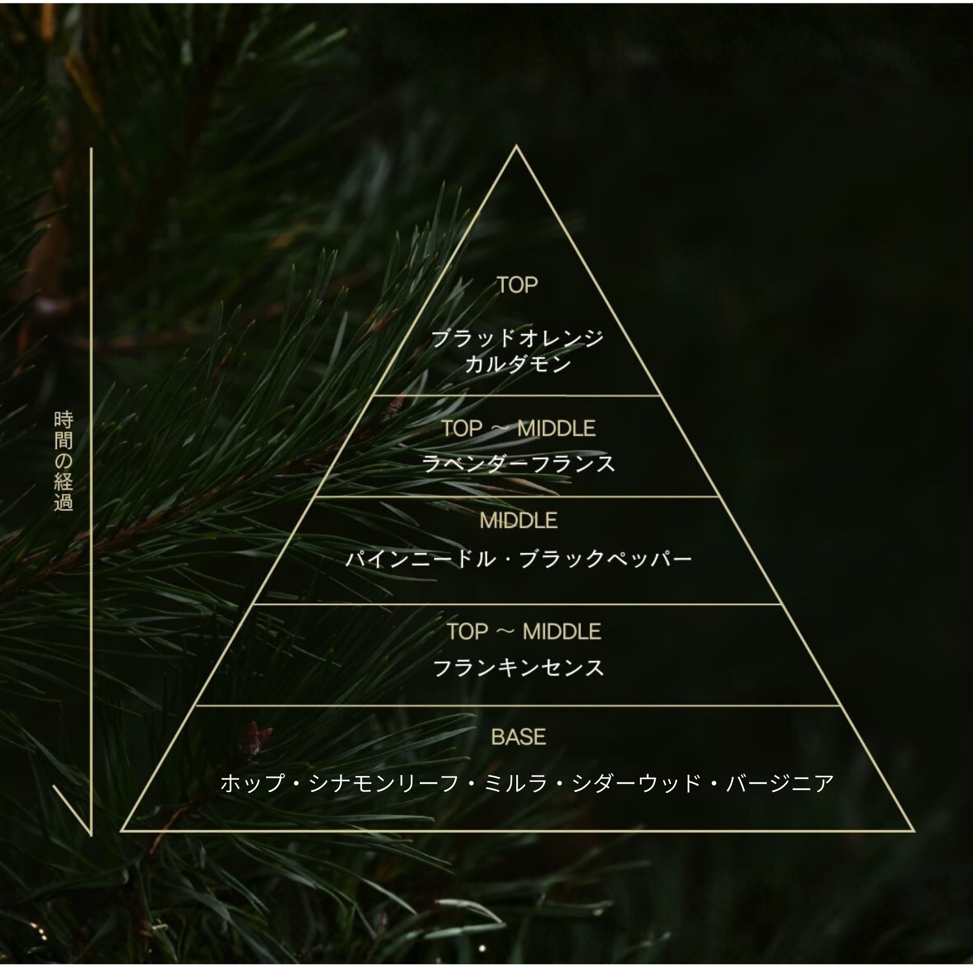 眠りに寄り添うピローミスト（DEEP Earthy　大地の香り）