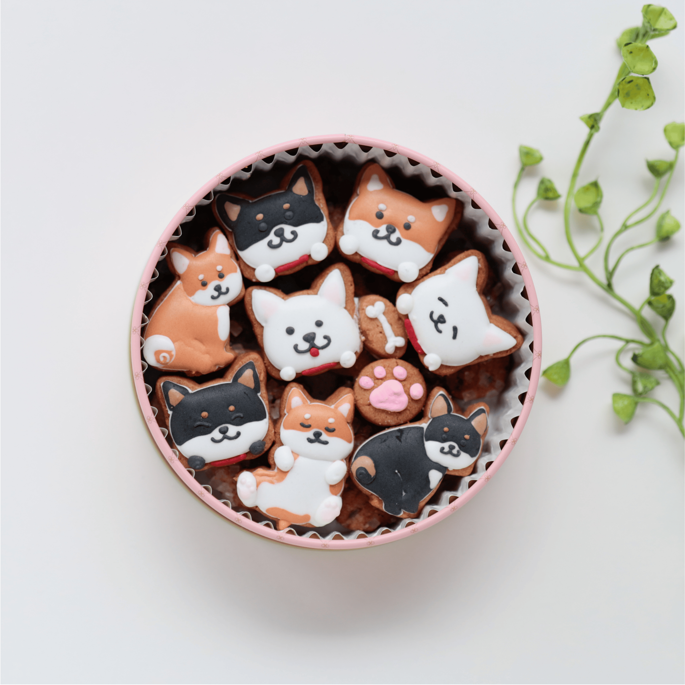 柴犬ver カラフルで可愛いアイシングクッキー缶 | アンドンカフェの