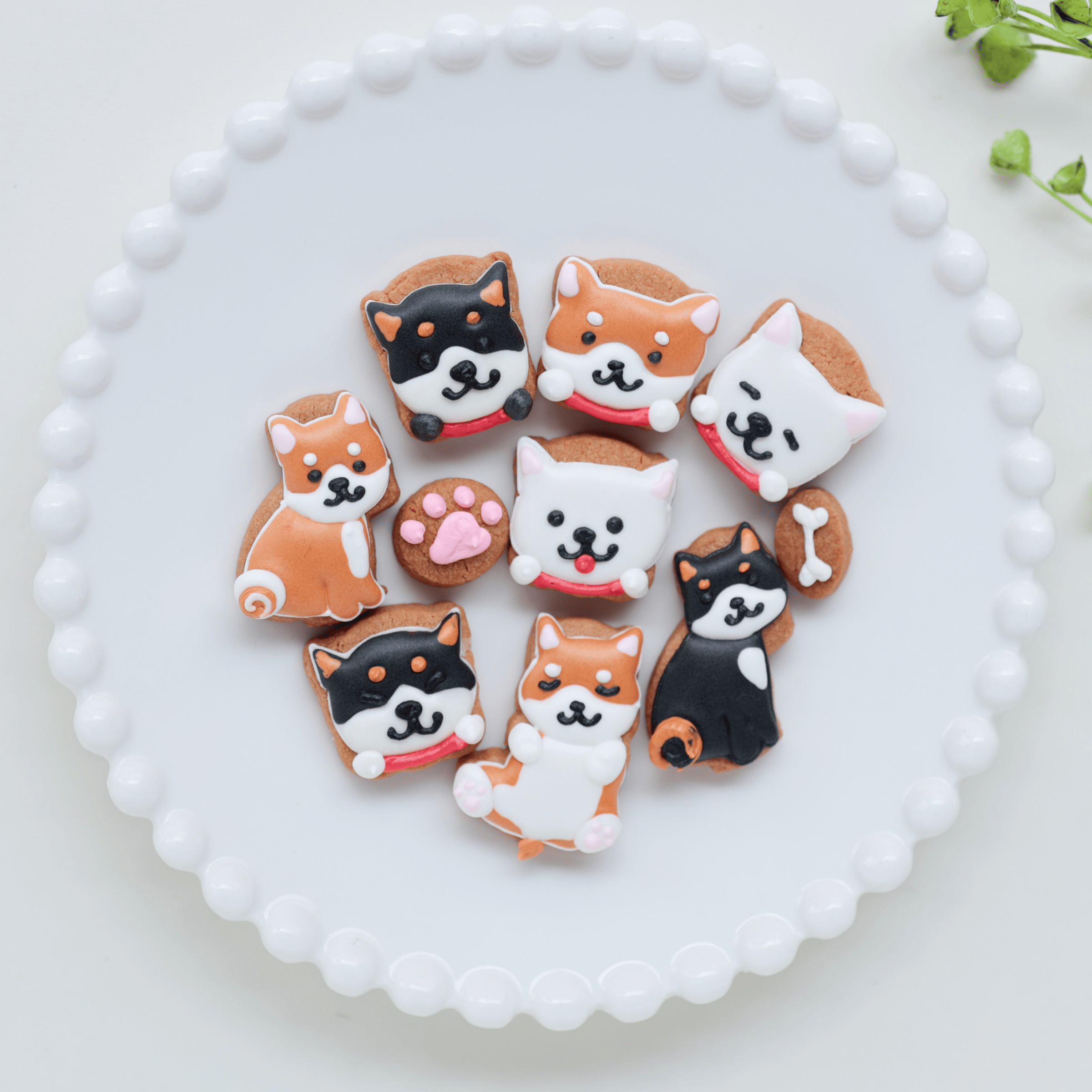 柴犬ver カラフルで可愛いアイシングクッキー缶
