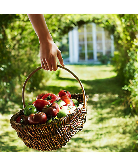 【彼女へのプレゼントに】マルジェラ香水とチョコのセット