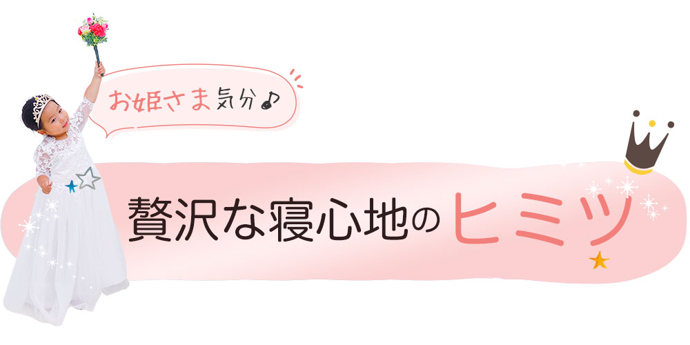 お姫さまの夢枕 枕カバー付き ジュニア枕