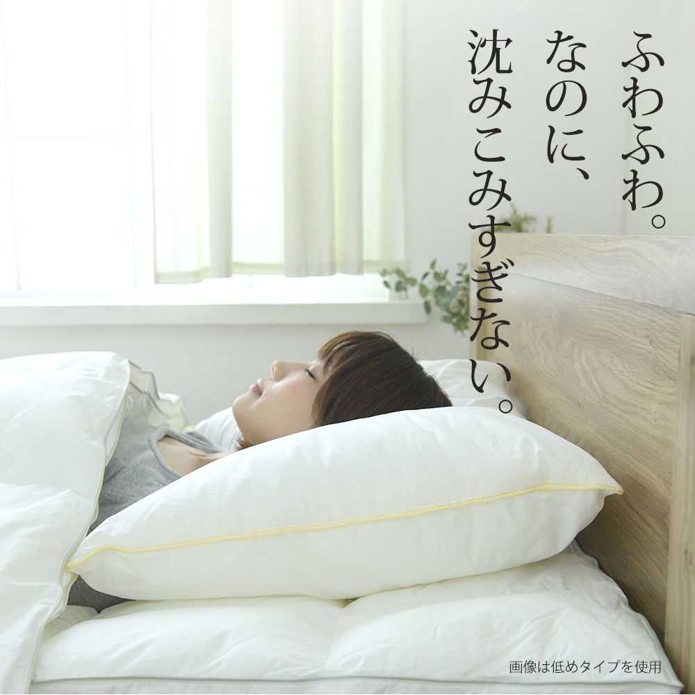 フィベールピロープレミアム 低め 50×70cm