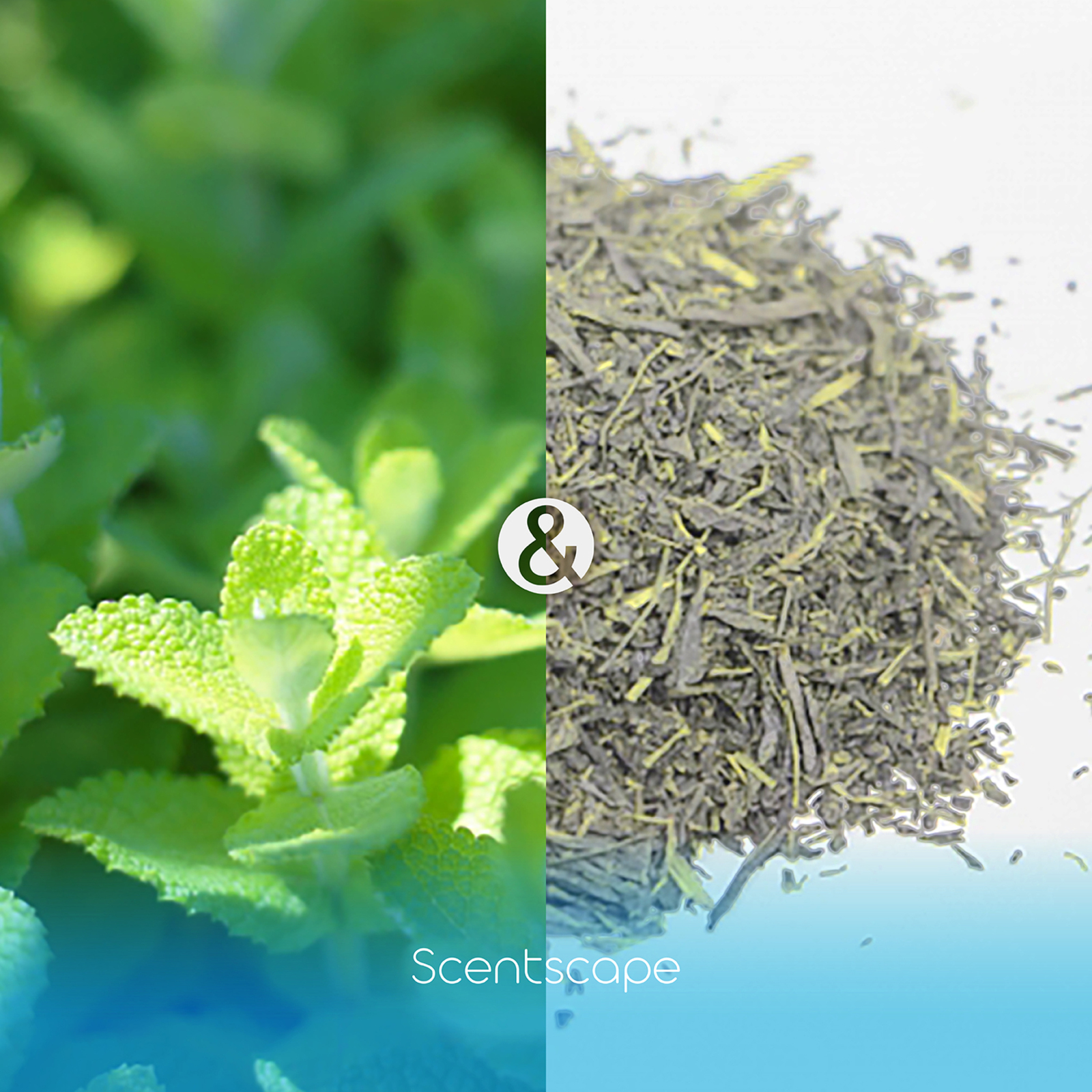 【お礼ギフトにも】お香とキャンディのプチギフト