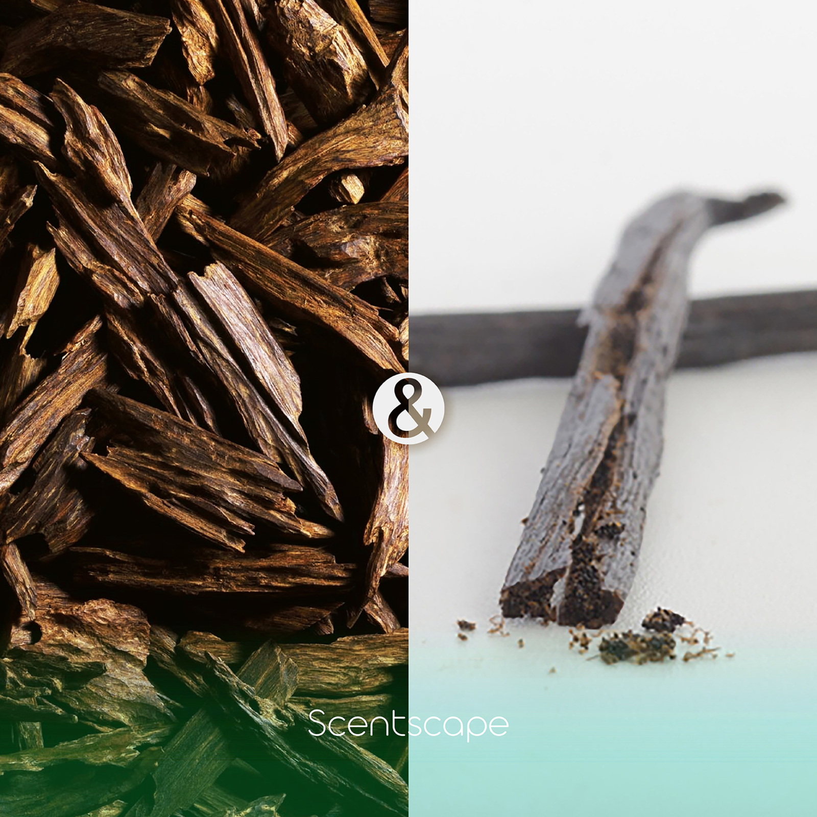 【お礼ギフトにも】お香とキャンディのプチギフト