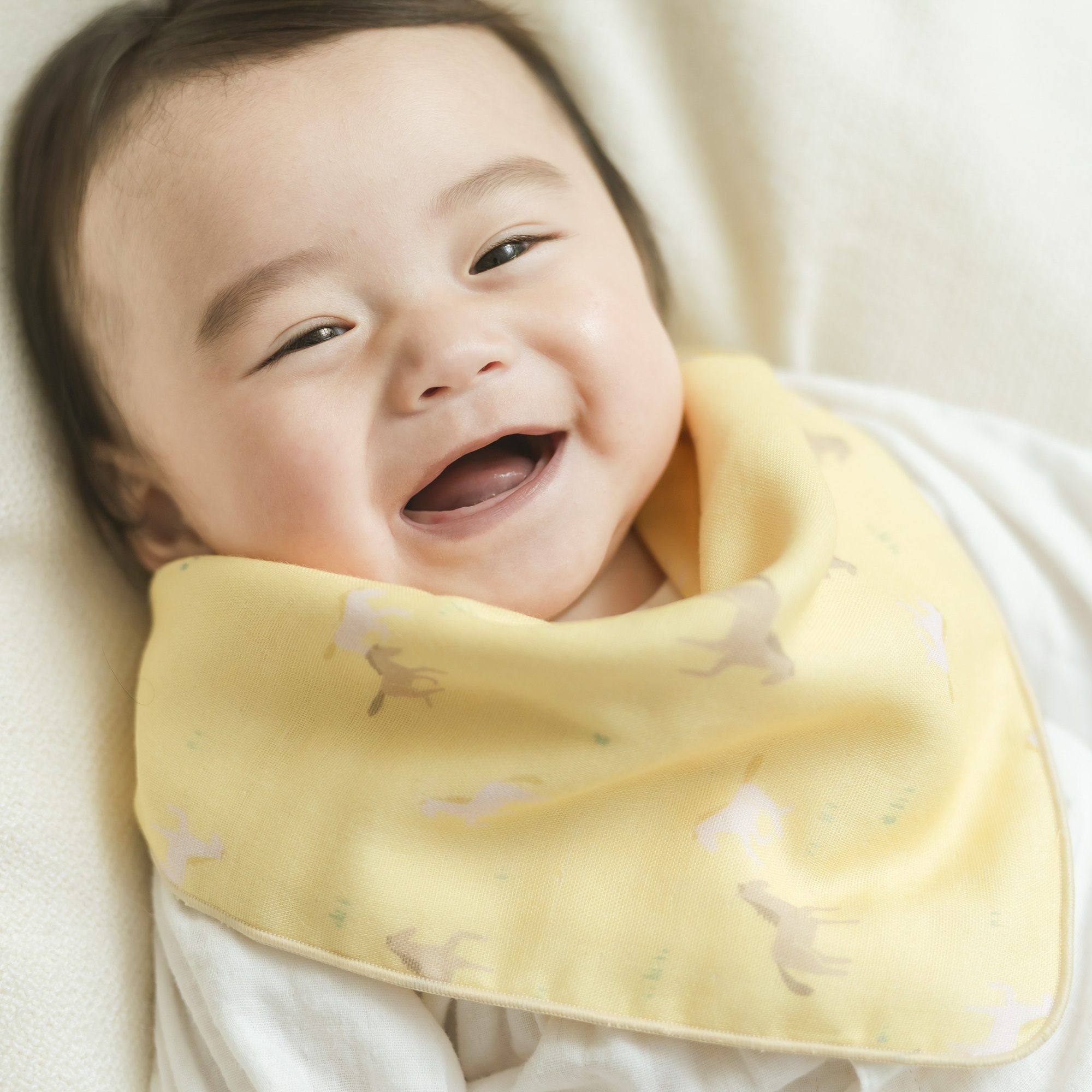 スタイとしても使える出産ご祝儀袋【日本製】