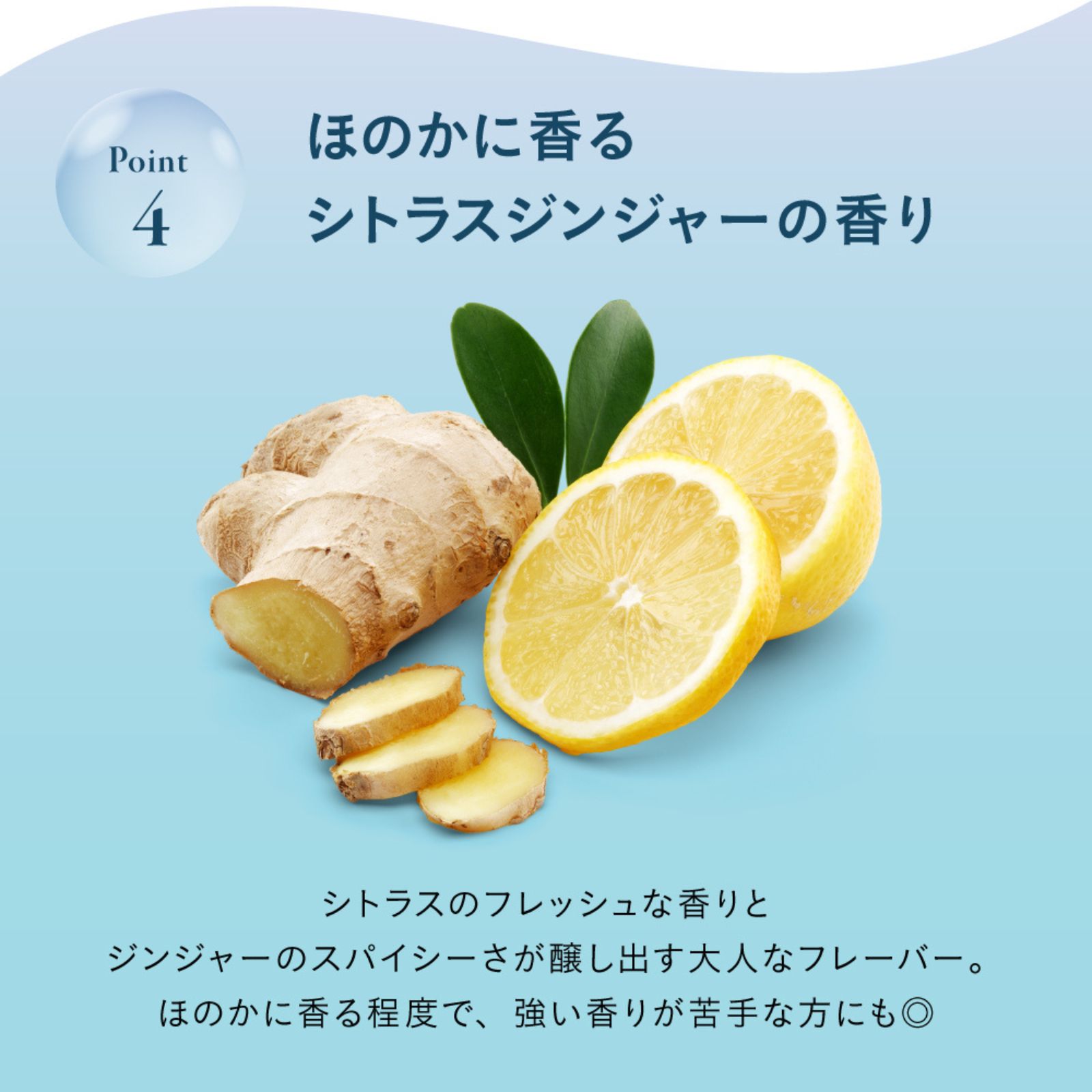  重炭酸 バスタブレット 入浴剤 シトラスジンジャーの香り