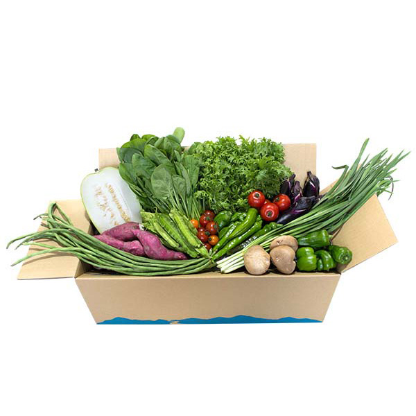 旬の野菜の詰め合わせ