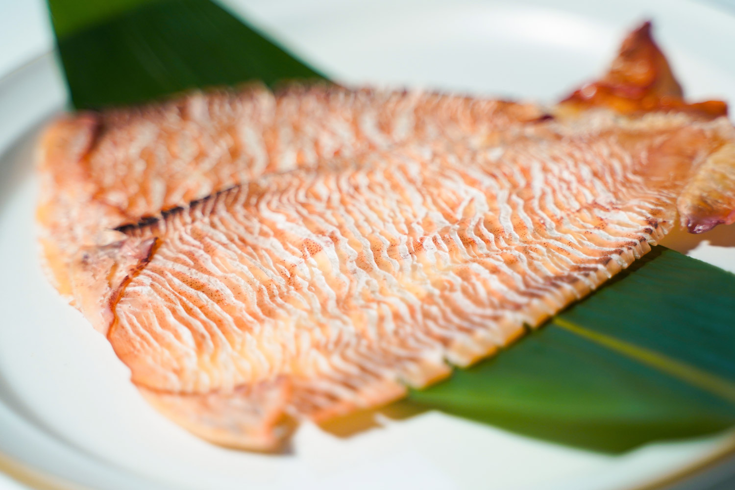 一日漁 干物珍味 5種セット