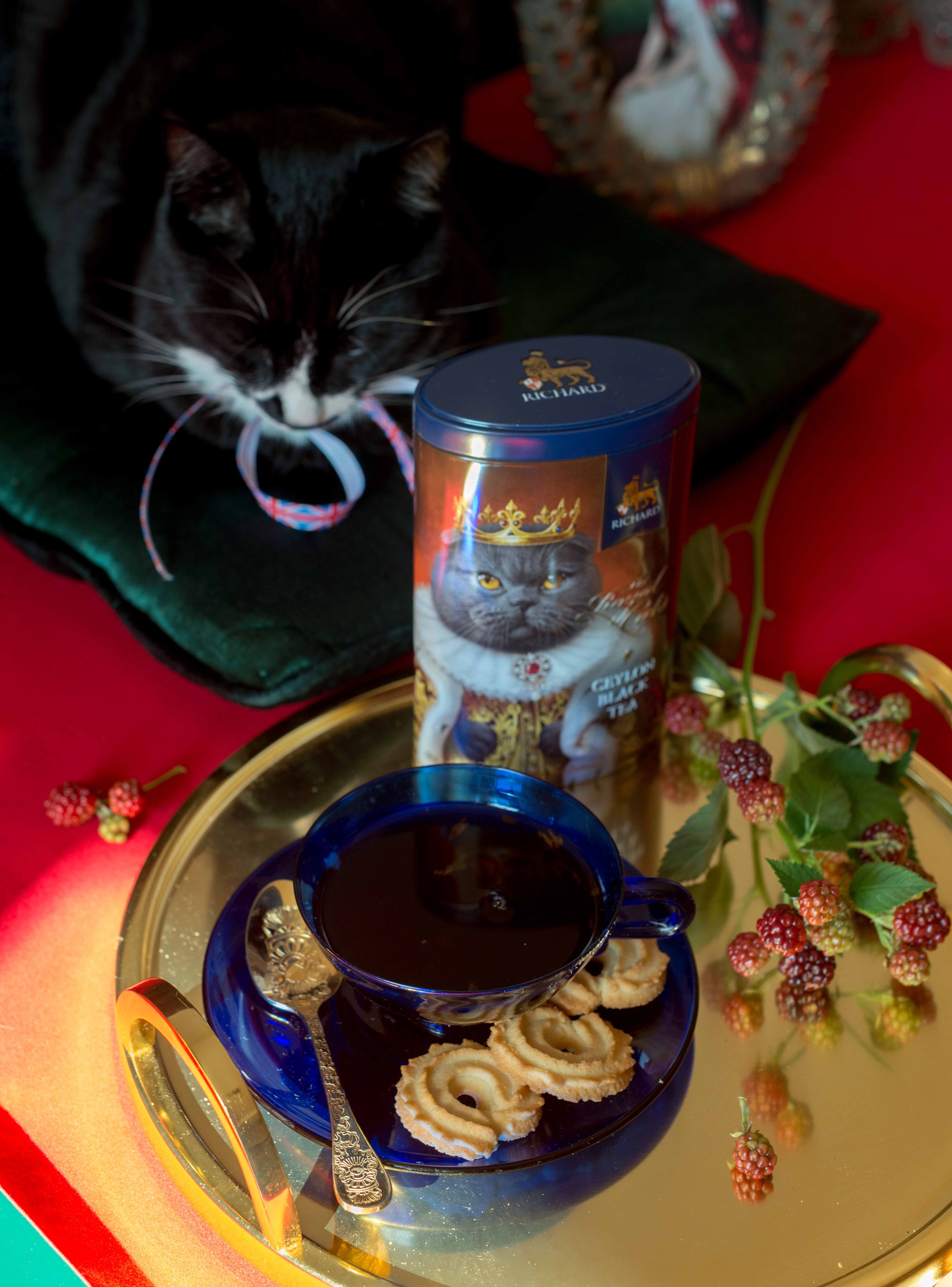 ザ・ロイヤル・キャッツ「ブリティッシュ猫」
