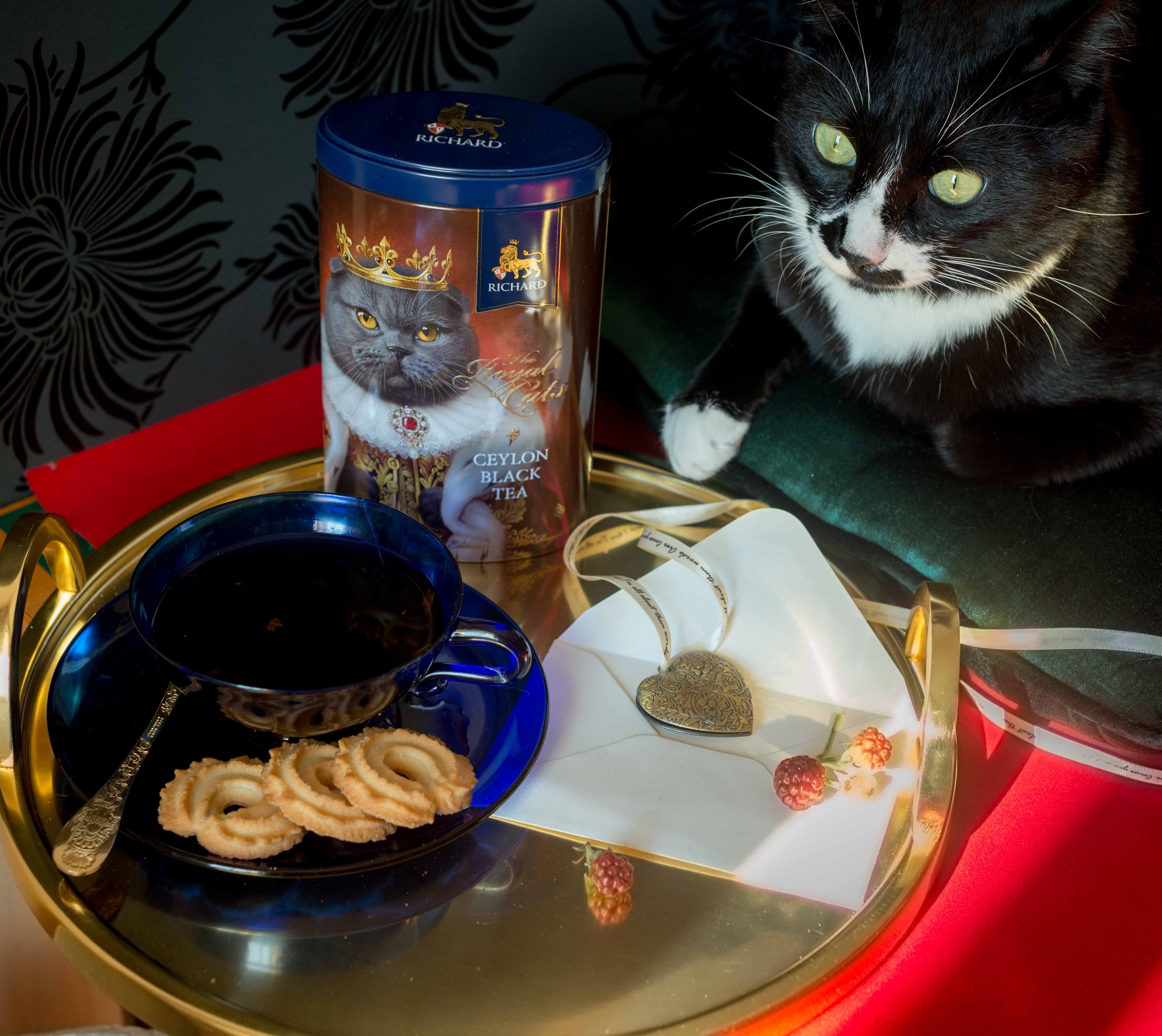 ザ・ロイヤル・キャッツ「ブリティッシュ猫」