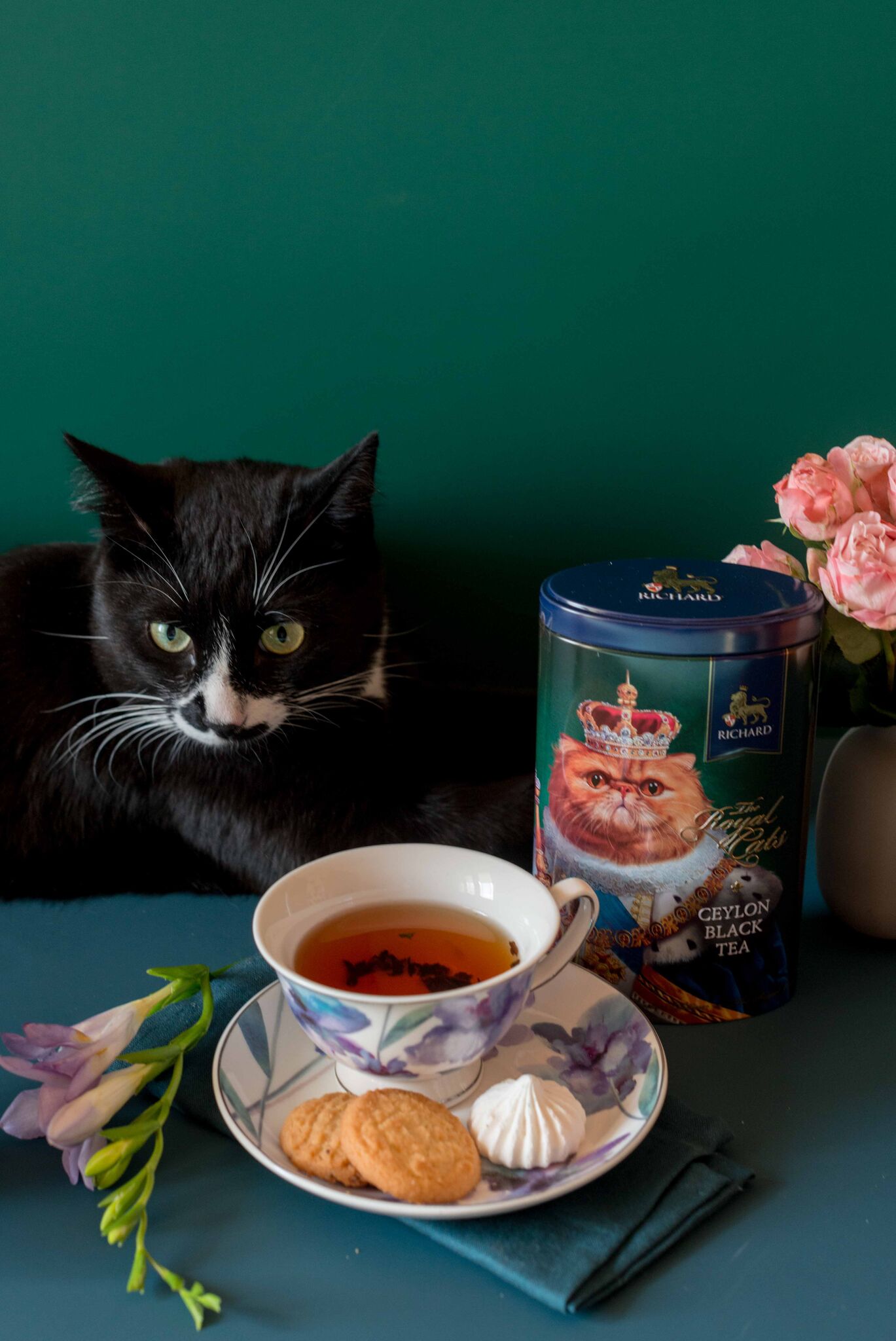 ザ・ロイヤル・キャッツ「ペルシャ猫」