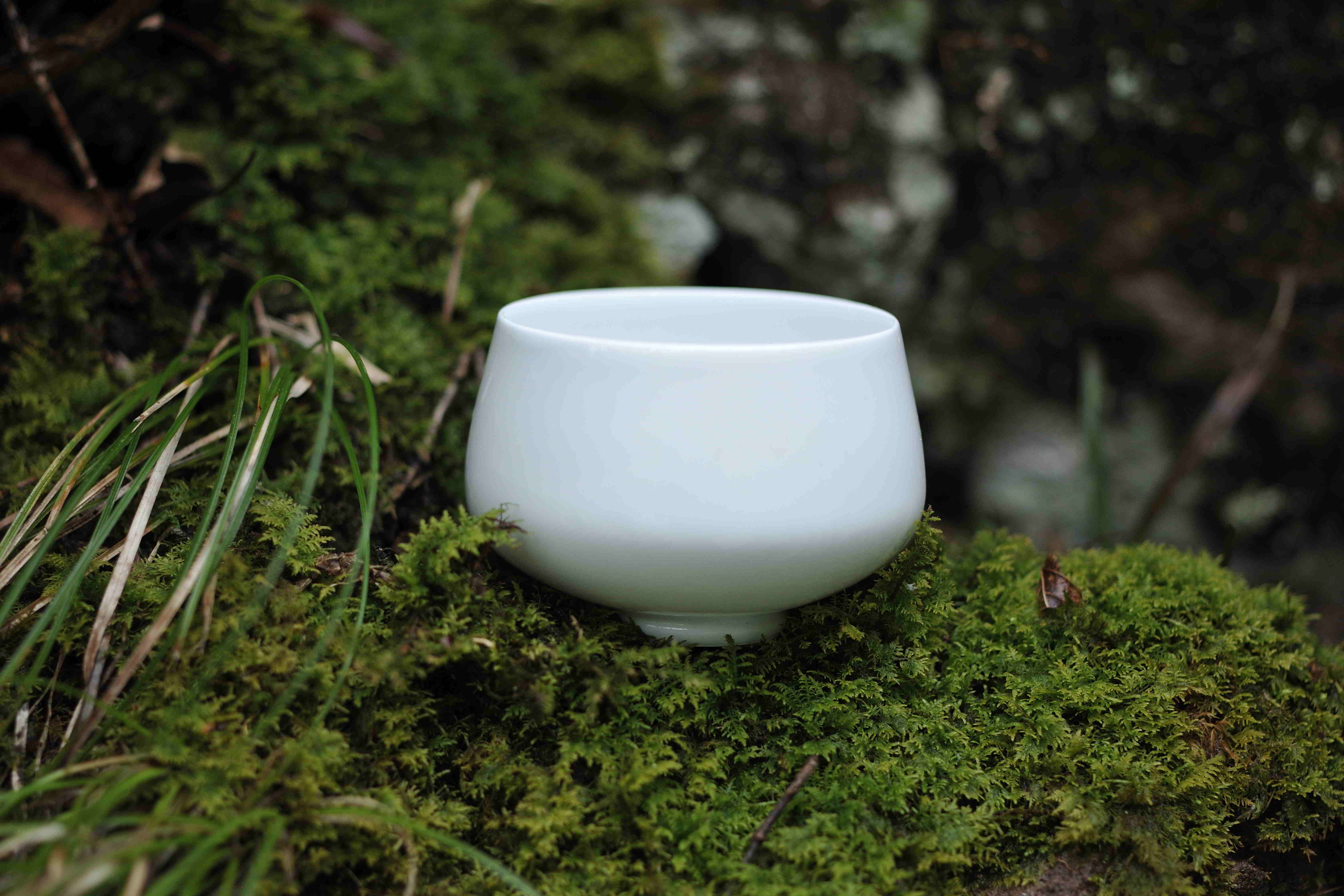 SHUWANプロフェッショナル