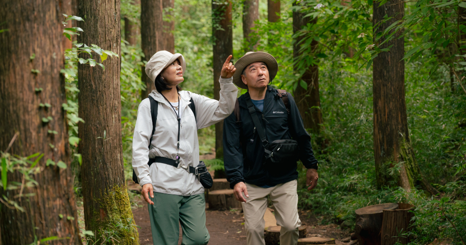 FOR2ギフト（YELLOW）