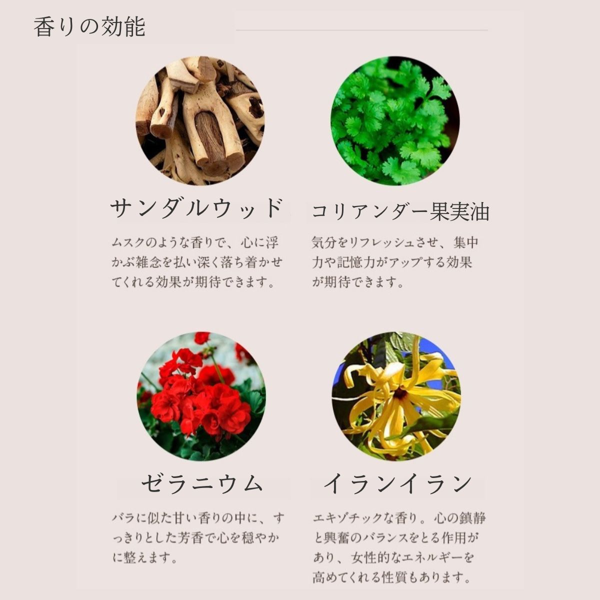 【父の日】MOGANS アミノ酸シャンプー 白樹 300mL サンダルウッド
