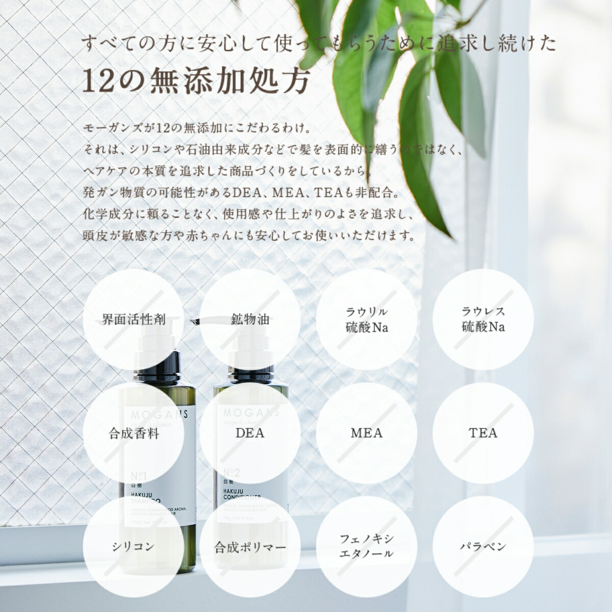 【父の日】MOGANS アミノ酸コンディショナー 白樹 300mL