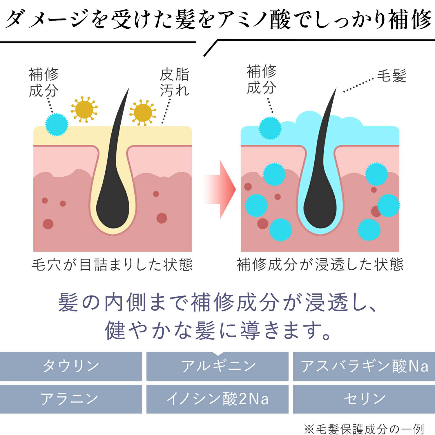 MOGANS アミノ酸シャンプー&コンディショナーセット 衣薫 各300mL ラベンダー