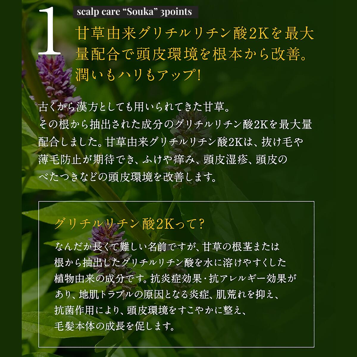 【父の日】MOGANS 薬用アミノ酸シャンプー 草花 300mL