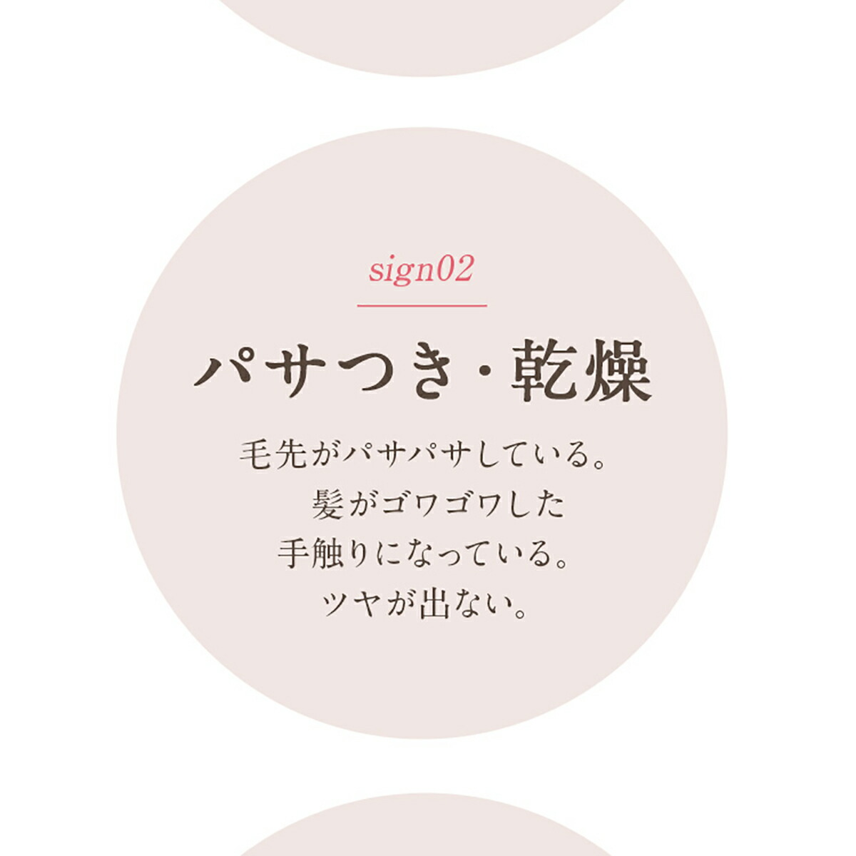 MOGANS ノンシリコンアミノ酸シャンプー/コンディショナー+スタイリングヘアミスト 白樹