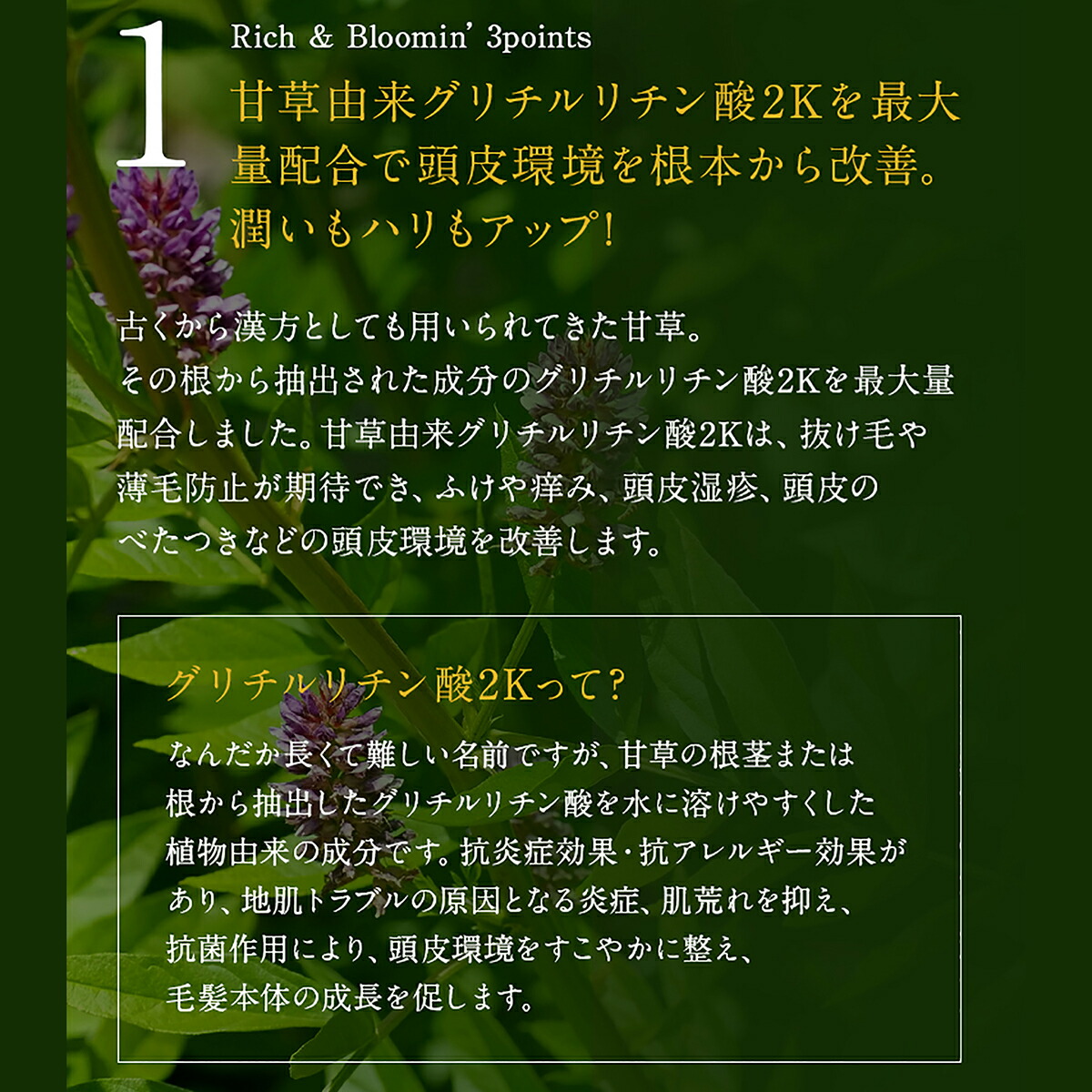 MOGANS シャンプー/コンディショナー/ヘアミストセット 草花