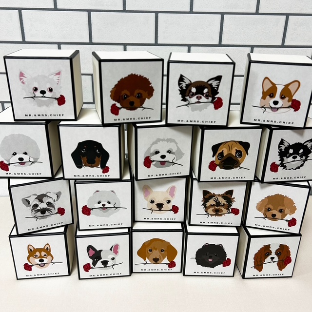 【母の日限定BOX】イヌとネコから選べるタオルハンカチ